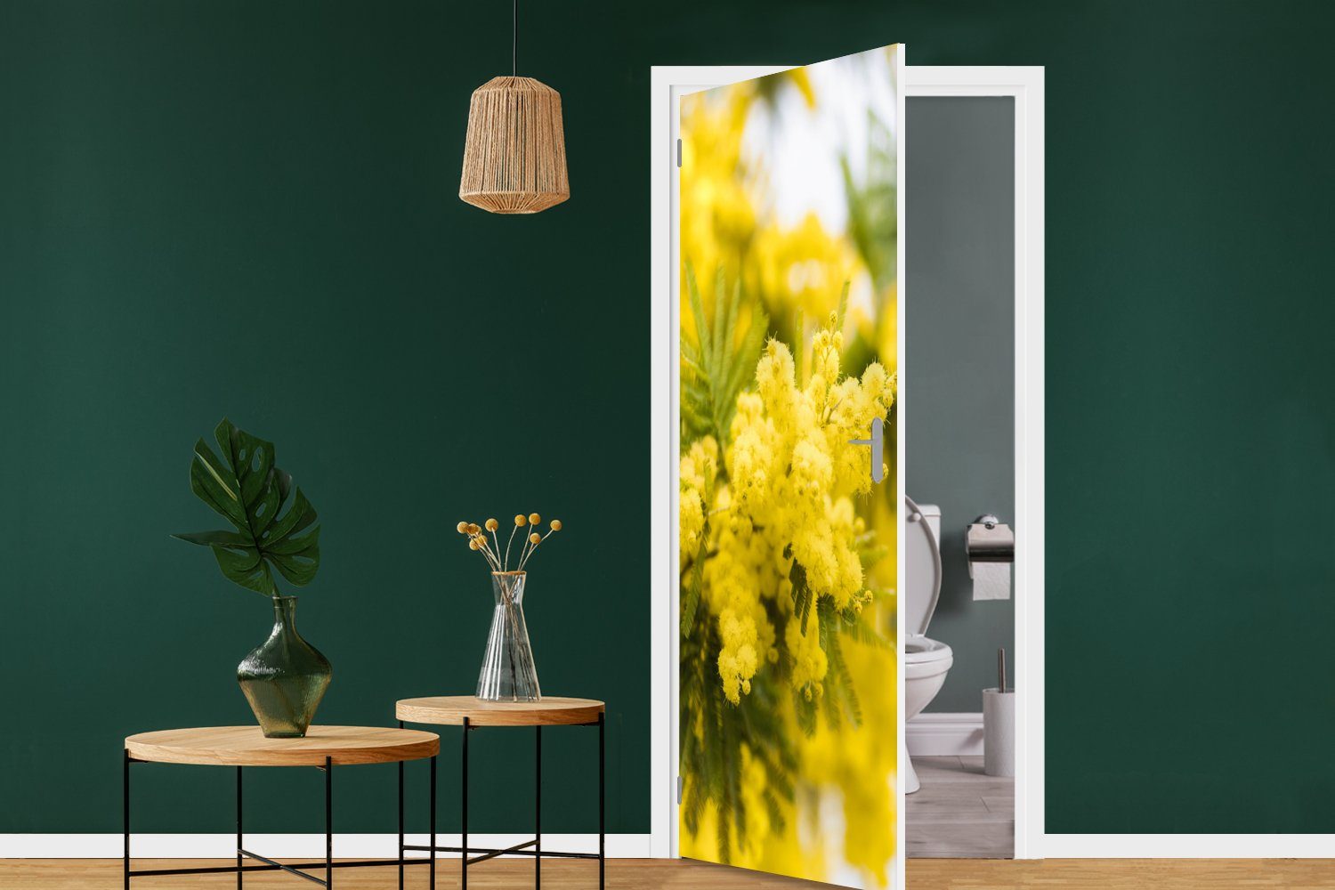 Fototapete St), gelbe (1 Türaufkleber, Matt, bedruckt, für MuchoWow Tür, Mimosenblüte, Türtapete 75x205 cm Eine