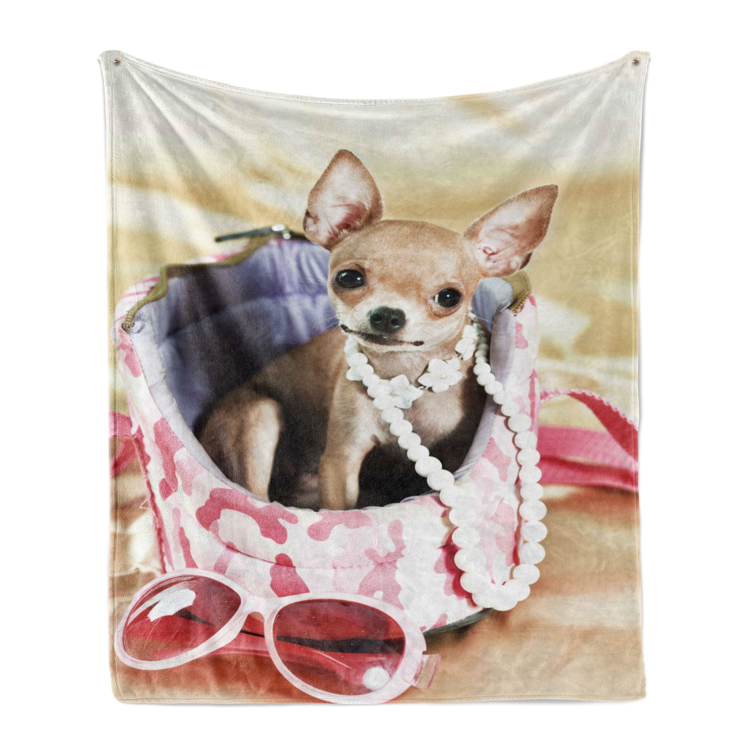 Wohndecke Gemütlicher Plüsch für den Innen- und Außenbereich, Abakuhaus, Chihuahua Lustige Sassy Mode Hund