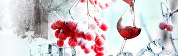 wandmotiv24 Küchenrückwand Johannisbeere Wein Eis Schnee Frost Rot, (1-tlg), Premium Hartschaum Nischenrückwand in versch. Größen