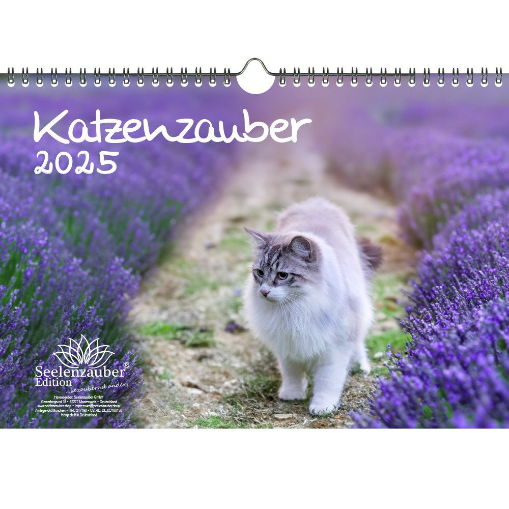 Seelenzauber Wandkalender Katzenzauber DIN A4 Kalender für 2025 Katzen und Katzenbabys