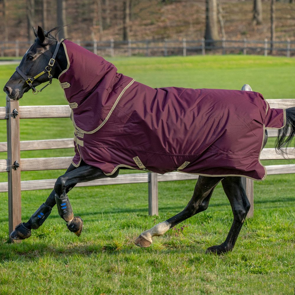 Horseware Pferde-Regendecke Horseware Amigo Hero Ripstop Plus Lite 0g - Fig/Navy & Tan