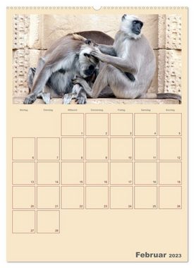CALVENDO Wandkalender Kleiner Zoobesuch . Familienplaner (Premium, hochwertiger DIN A2 Wandkalender 2023, Kunstdruck in Hochglanz)