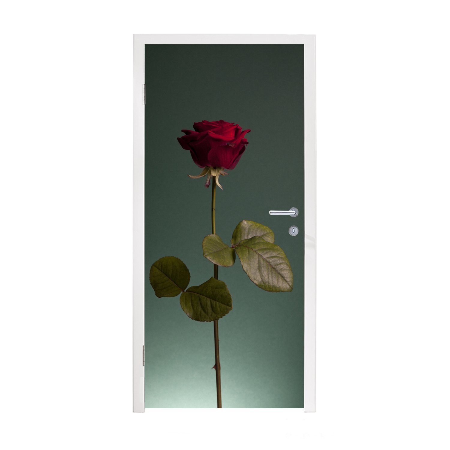 75x205 cm Tür, Türaufkleber, Rot, Matt, MuchoWow für St), Türtapete (1 - Rose bedruckt, Rosen Fototapete -