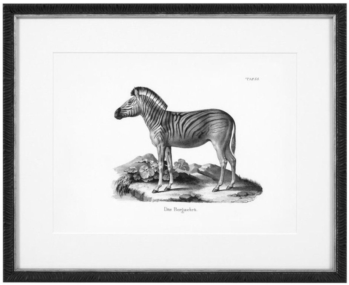 Holzrahmen Kunstdrucke H. mit Schwarz x Weiß Bilder Tiere Historische Set 53,5 Luxus / - Padrino 6er 43,5 Bilderrahmen Casa