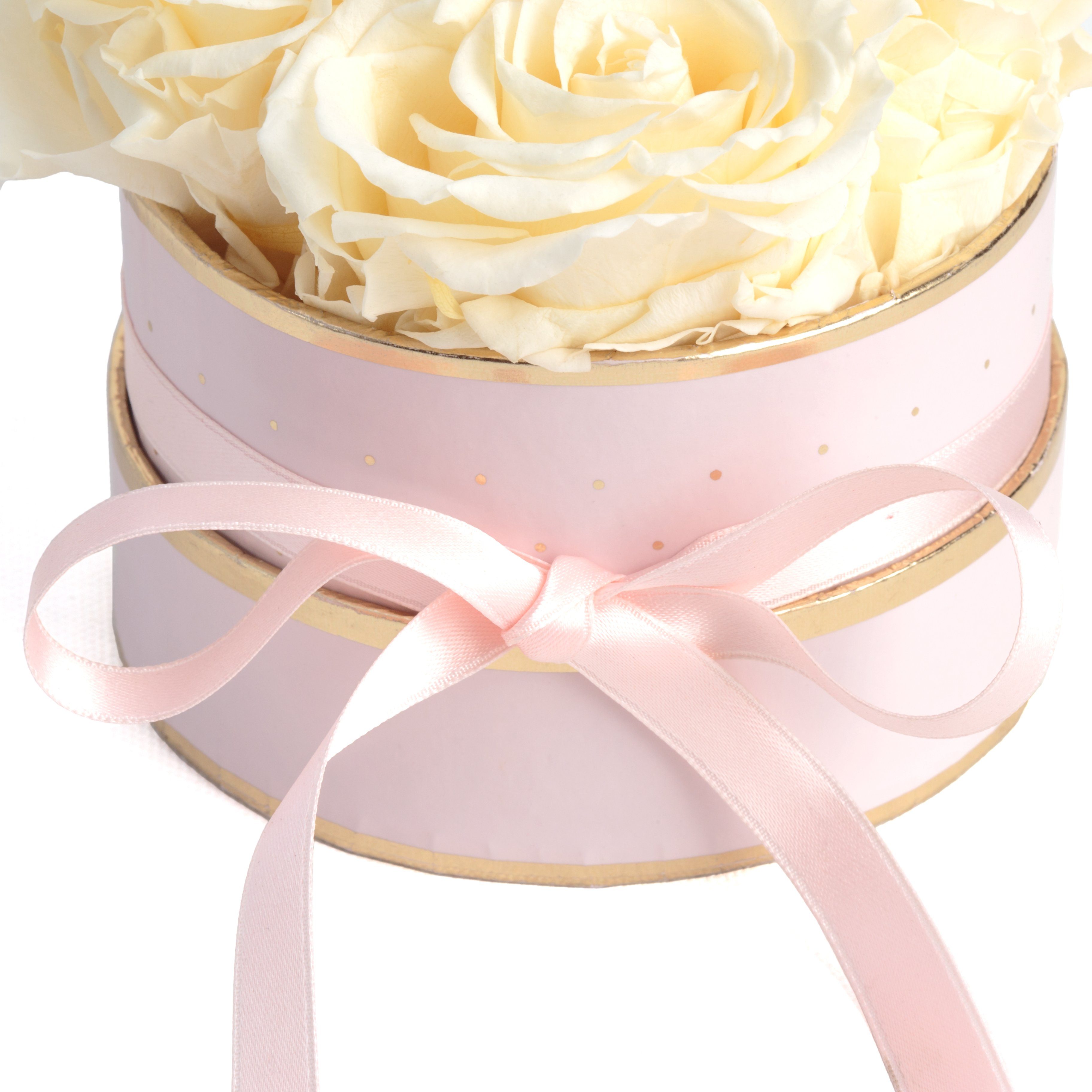 Kunstblume Infinity für Rosenbox rosa Rosen 4 Rose, ROSEMARIE konservierte rund echte Heidelberg, SCHULZ 10 konservierte Frauen Champagner Geschenk cm, Höhe Rosen