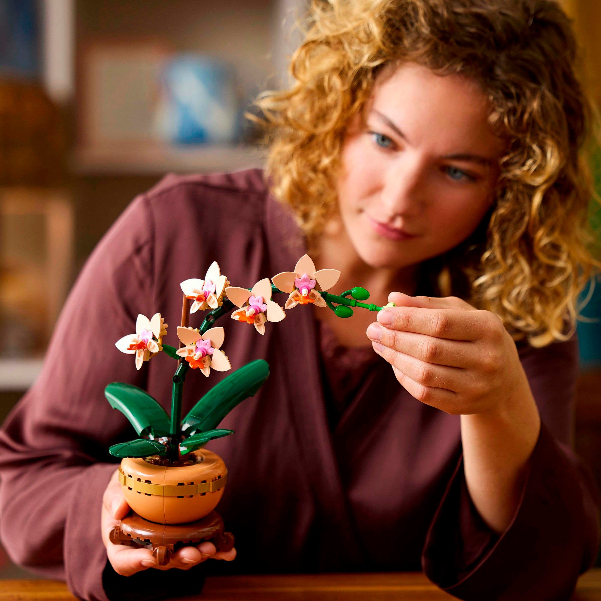 LEGO® Mini-Orchidee (10343), LEGO Botanicals Konstruktionsspielsteine, günstig online kaufen