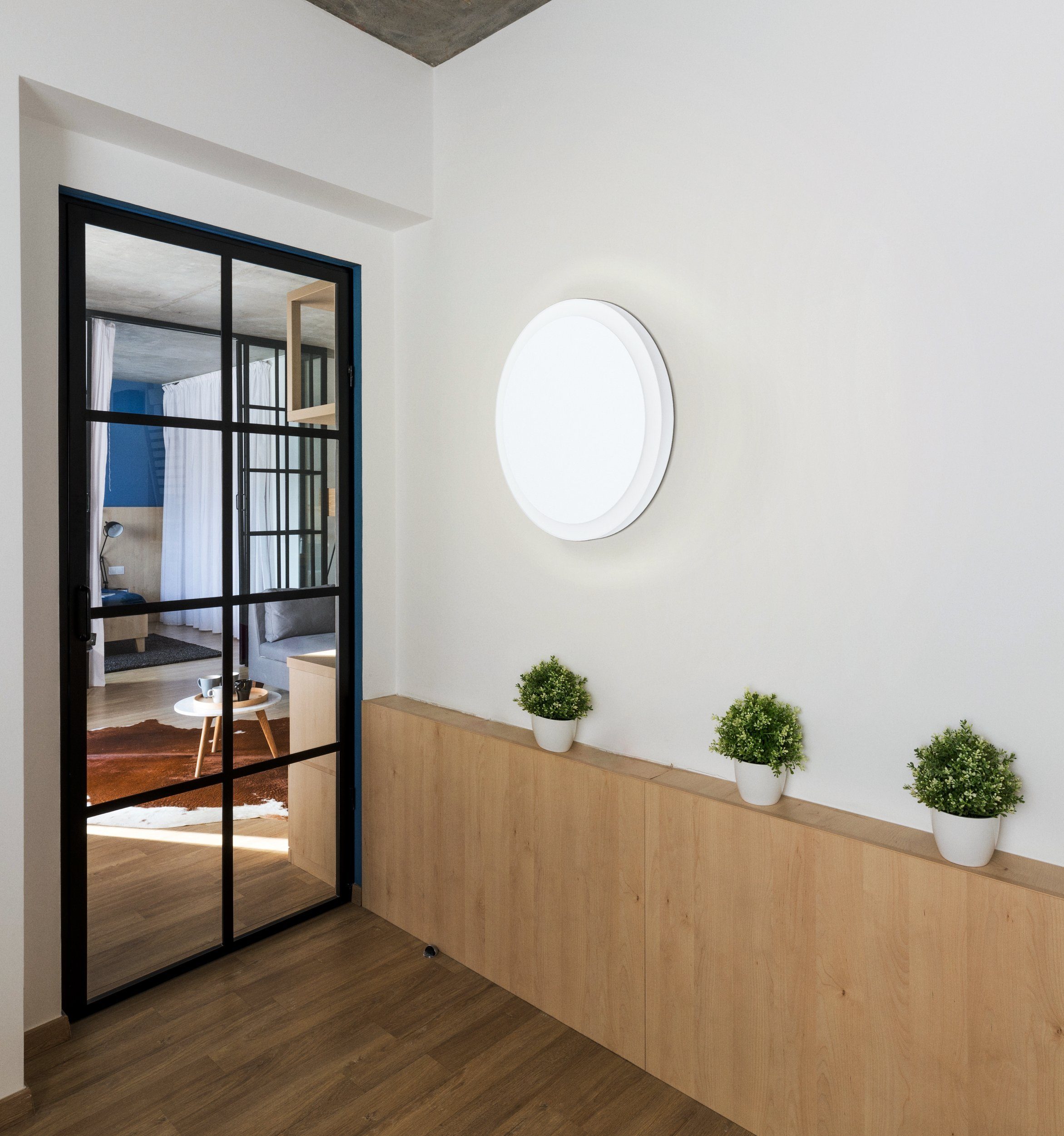 EGLO LED Deckenleuchte Mongodio 1, Leuchtmittel inklusive, Wandlampe, Deckenlampe, Deckenleuchte, Wohnzimmerlampe, Ø 20 cm