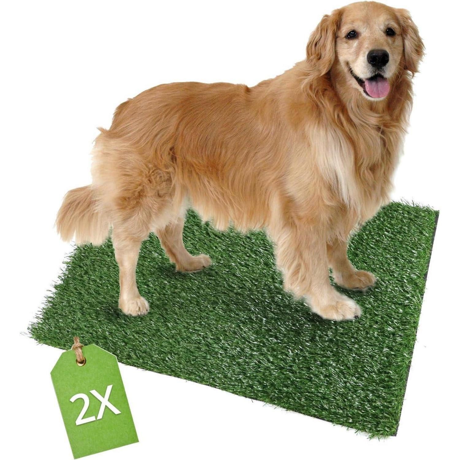 QWORK Schutzkragen Kunstrasen Welpentoilette Hundeklo Matten 51x63 cm, wiederverwendbar