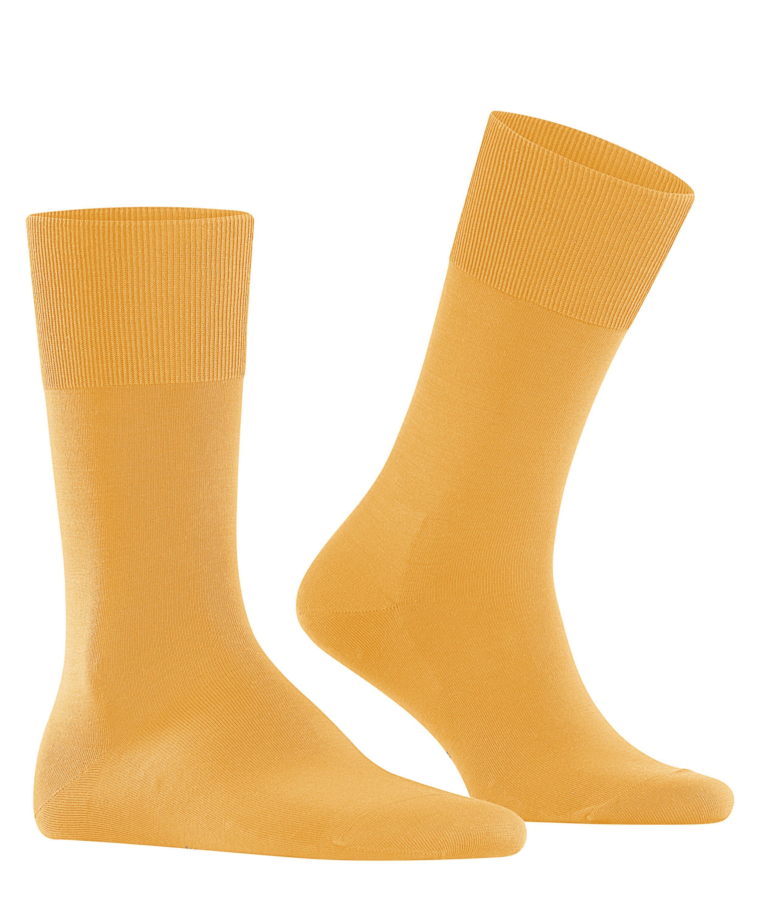 ClimaWool hot Socken (1282) (1-Paar) FALKE ray