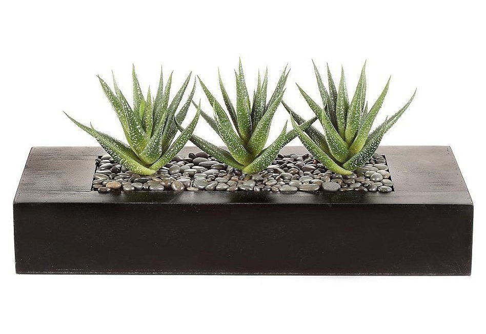 Kunstkaktus Agaven, OTTO home, Höhe 16 cm, Kunstpflanzen-Arrangement in zwei Größen in schöner Holzschale