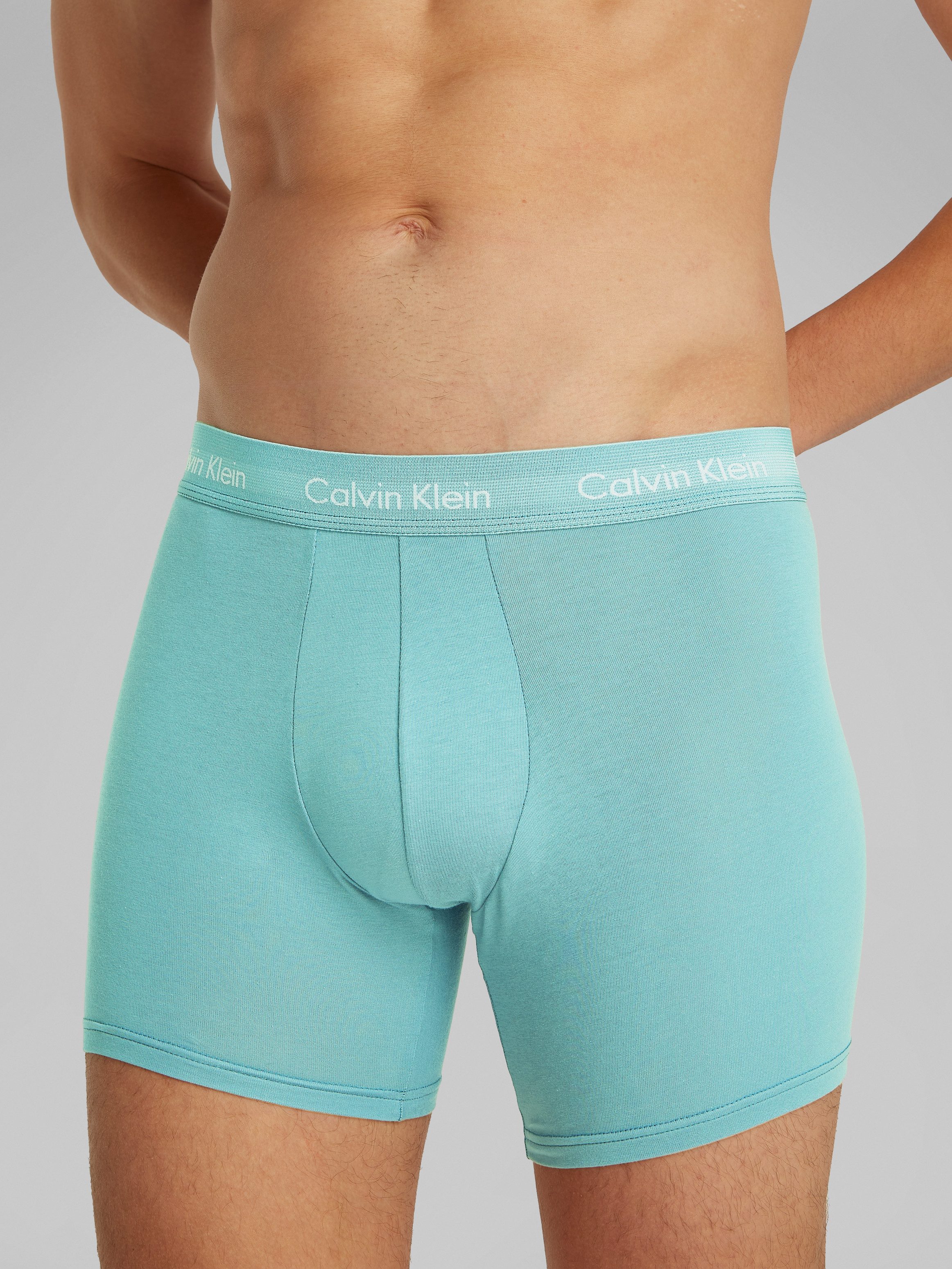 Calvin Klein Underwear Boxer BRIEF 3 günstig online kaufen