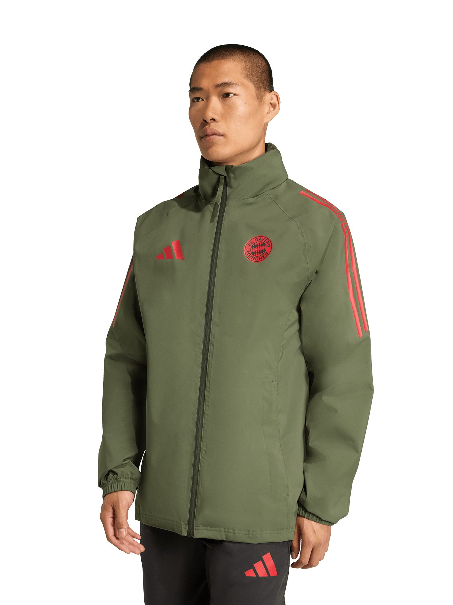 adidas Performance Regenjacke FC Bayern München, Regenjacke UCL Teamline, Herren, Grün