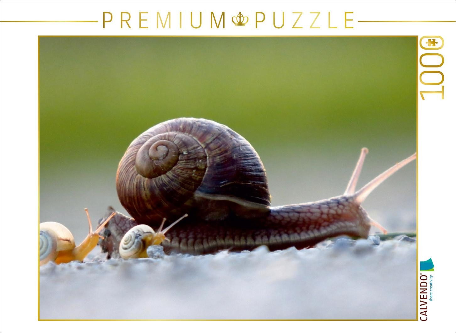 Puzzle CALVENDO Puzzle Ein Motiv aus dem Kalender at Schneckentempo durch das