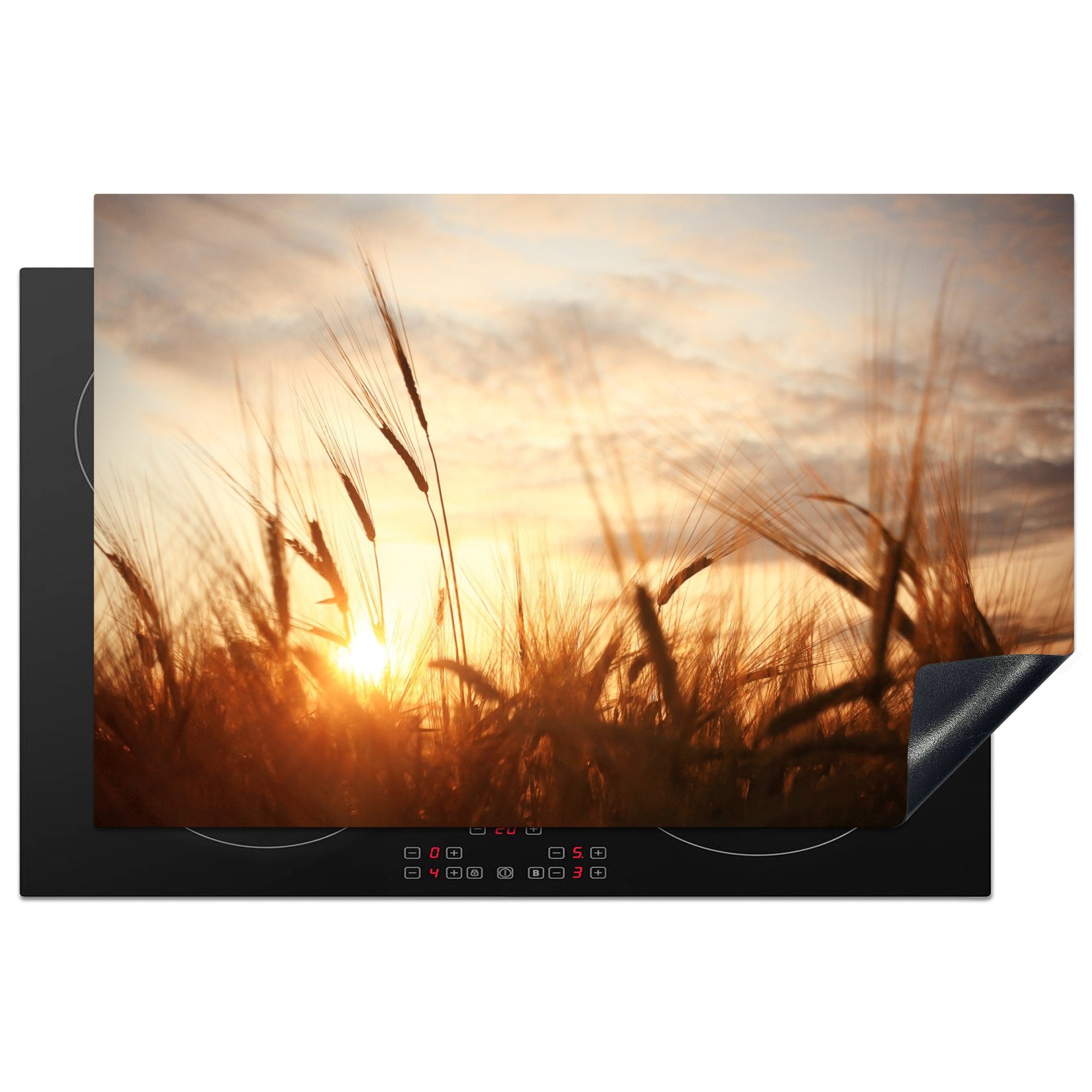 MuchoWow Herdblende-/Abdeckplatte Schilf - Gras - Sonnenuntergang - Natur - Horizont, Vinyl, (1 tlg), 81x52 cm, Induktionskochfeld Schutz für die küche, Ceranfeldabdeckung