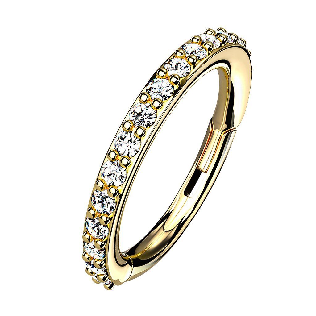 Taffstyle Nasenpiercing Piercing Segmentring Scharnier Clicker günstig online kaufen