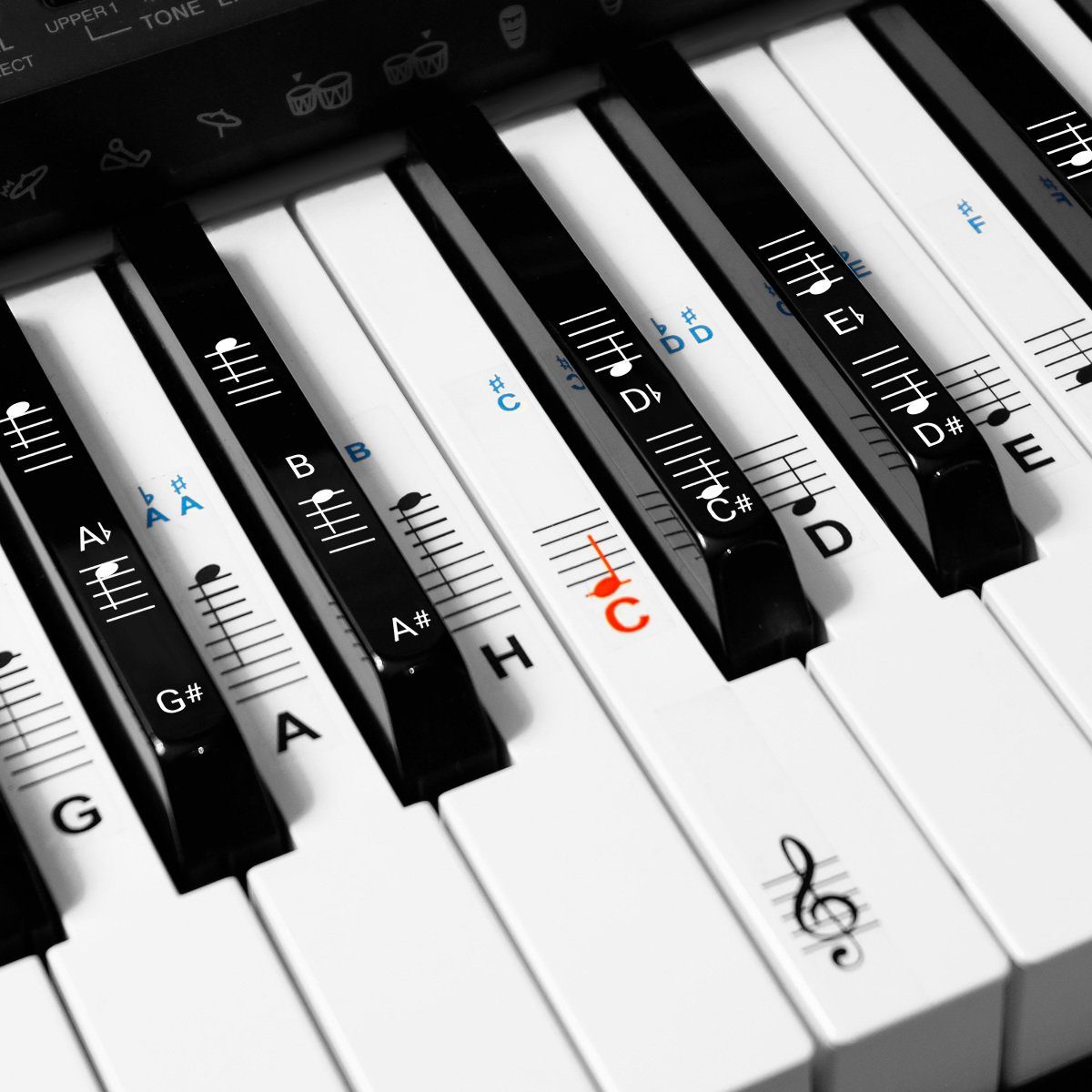 Klavier Keyboard Aufkleber für 54/61 76/88 Tasten Noten Piano Sticker für weiße & schwarze Tasten Transparent und abnehmbar Schwarz 