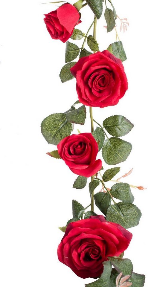 Kunstblume Rosengirlande Dijon Rose, Botanic-Haus, Höhe 10 cm, Romatische  Dekoration für Ihren Wohnbereich