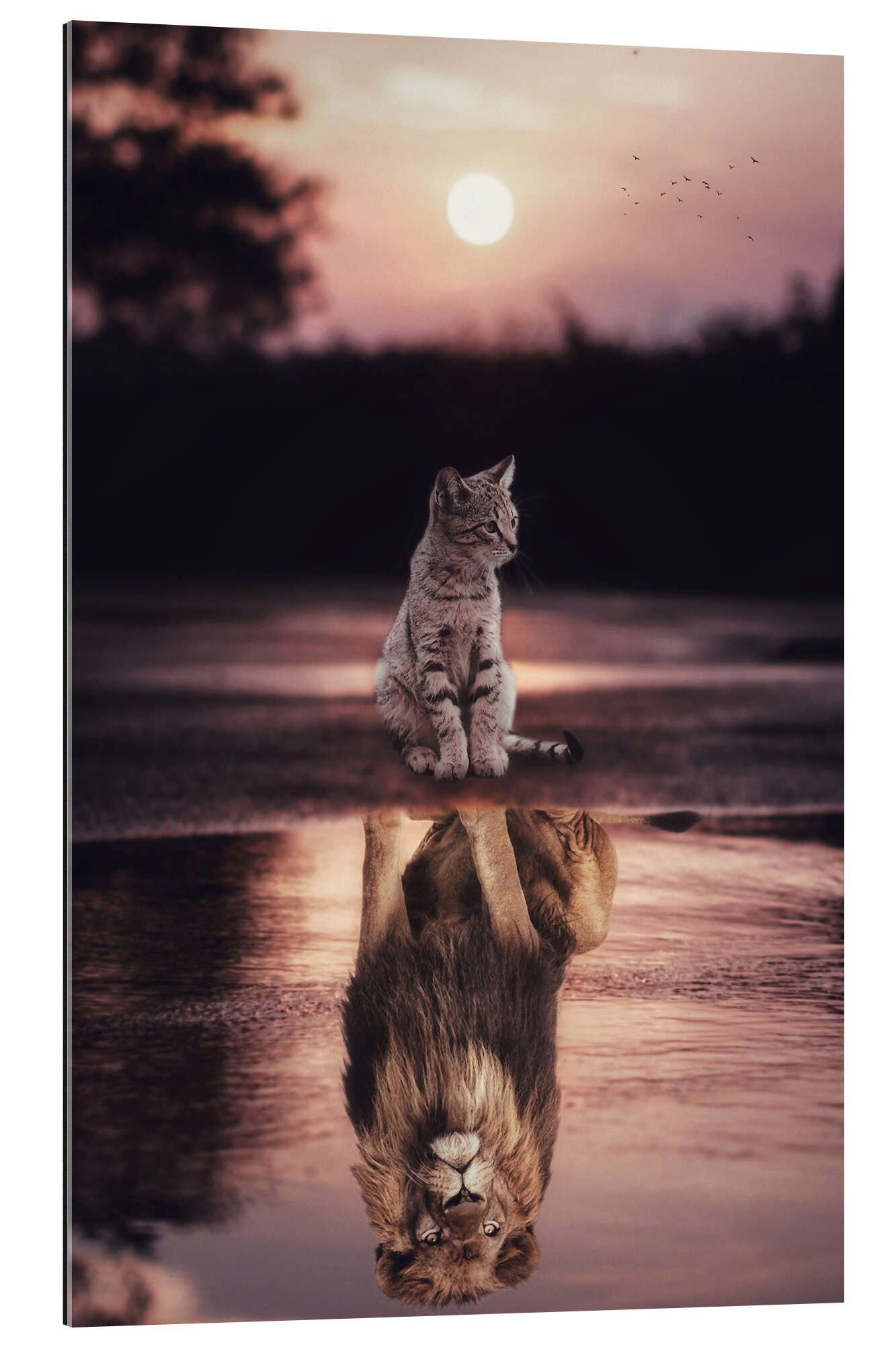 Posterlounge XXL-Wandbild Gen Z, Dream Big - Kleine Katze wird zum Löwen, Kinderzimmer Illustration