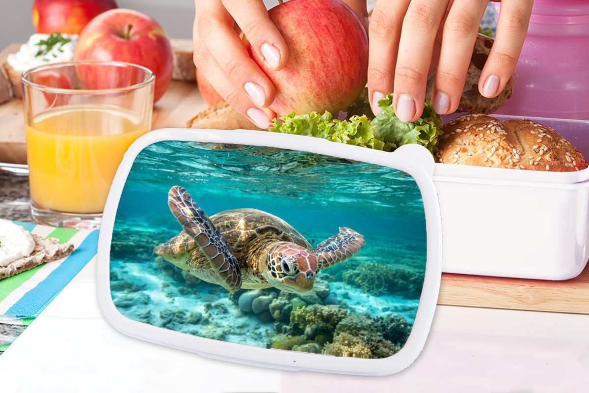 Wasser Schildkröte unter Erwachsene, für MuchoWow schwimmt (2-tlg), Brotbox in Jungs weiß und Mädchen Kinder Kunststoff, Bodennähe, Eine und Brotdose, Lunchbox für