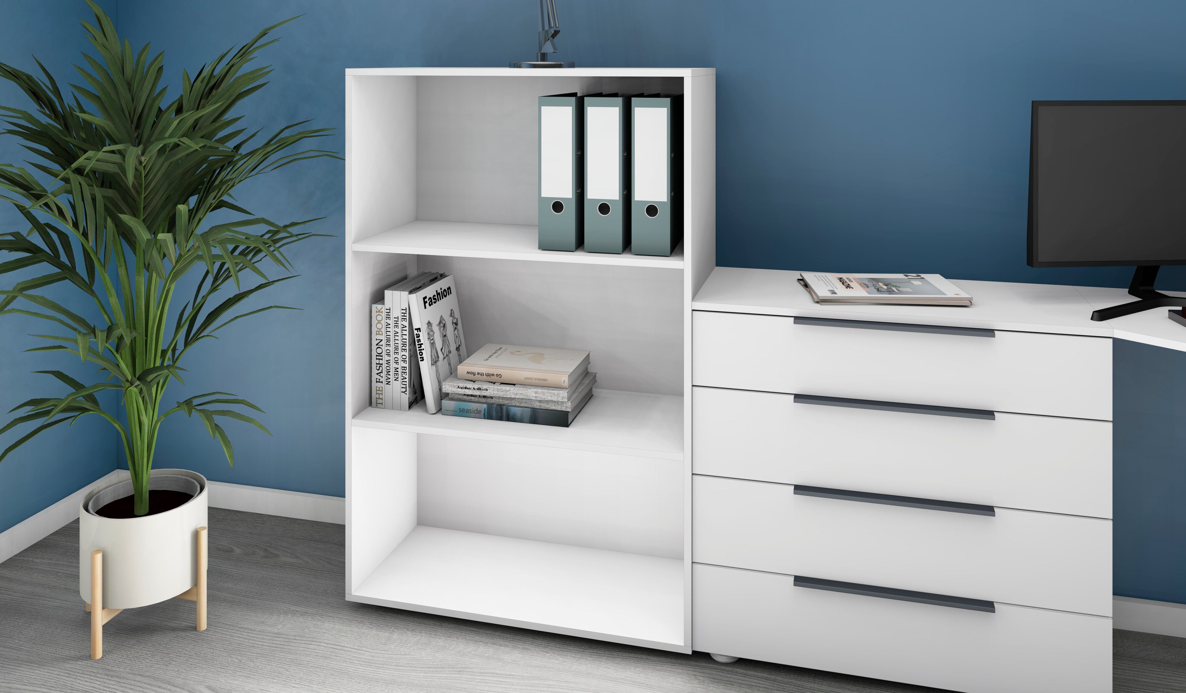 borchardt Möbel Aktenregal Tom, Bücherregal für alle Räume geeignet günstig online kaufen