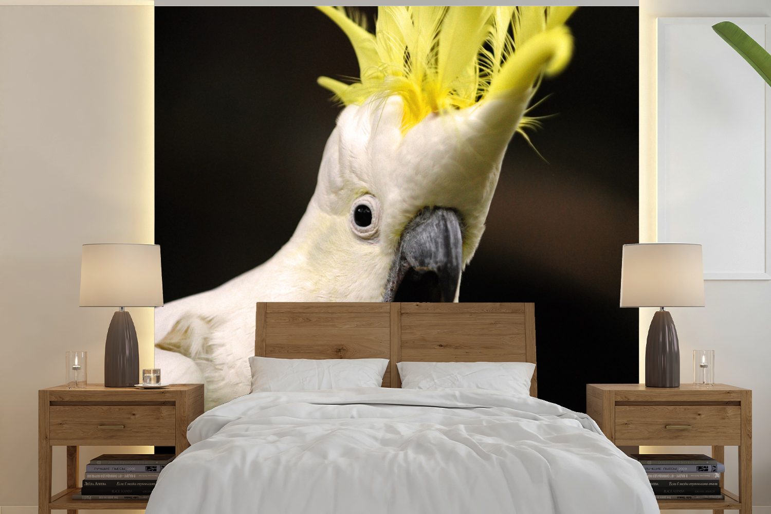 St), Schlafzimmer, gelben oder Tapete bedruckt, (5 einem Wandtapete weißer Fototapete Ein Wohnzimmer für Vinyl Kakadu Matt, MuchoWow mit Kamm,