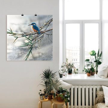Artland Wandbild Eisvogel I, Vögel (1 St), als Leinwandbild, Poster, Wandaufkleber in verschied. Größen