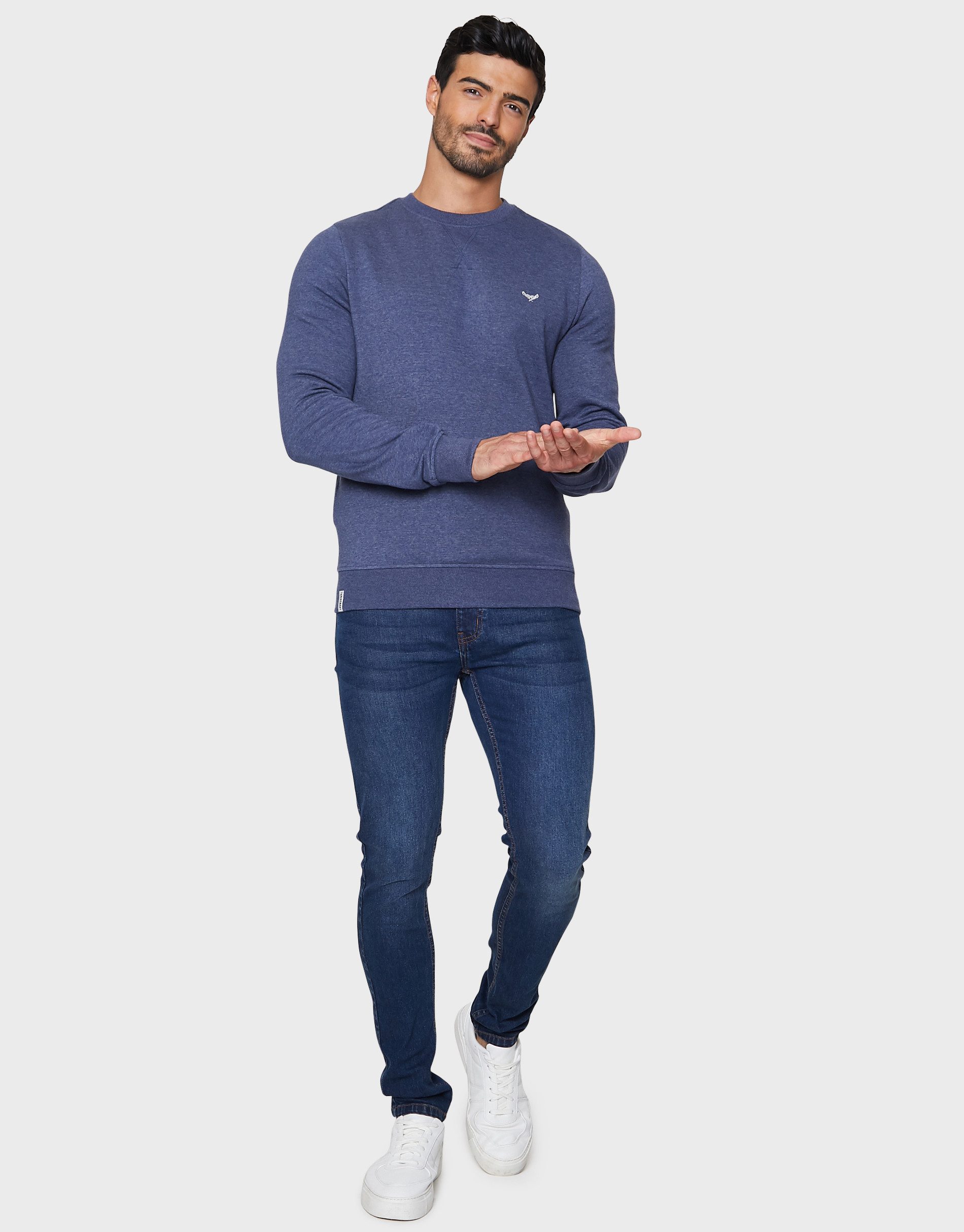Threadbare Rundhalspullover Satsuma im schlichten Design günstig online kaufen