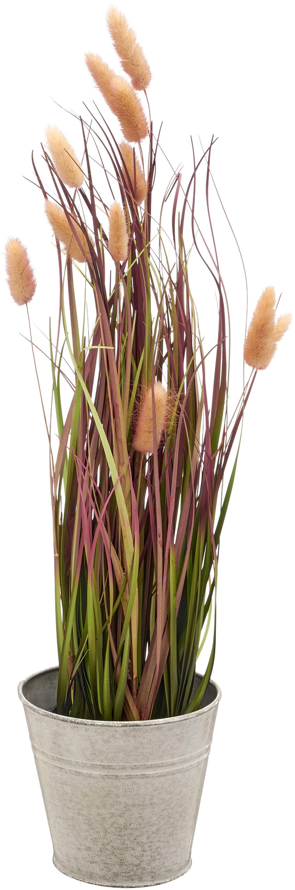 Kunstgras Grasbusch Lagurus, Creativ green, Höhe 60 cm, mit zarten Blüten