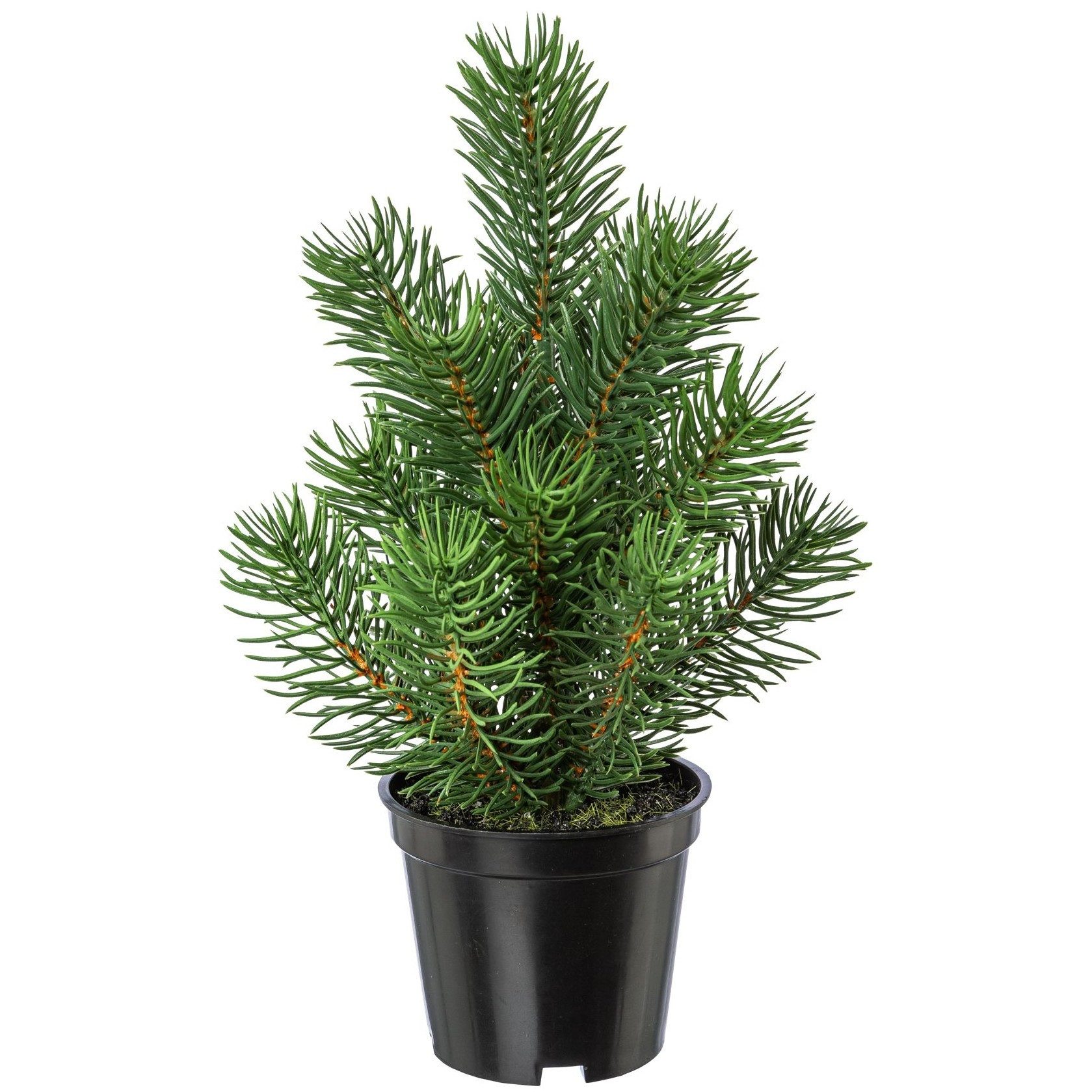 Kunstbaum Künstliches Tannenbäumchen im Topf, Tischdeko, Winterdeko, 22cm, Gasper, Höhe 22.00 cm