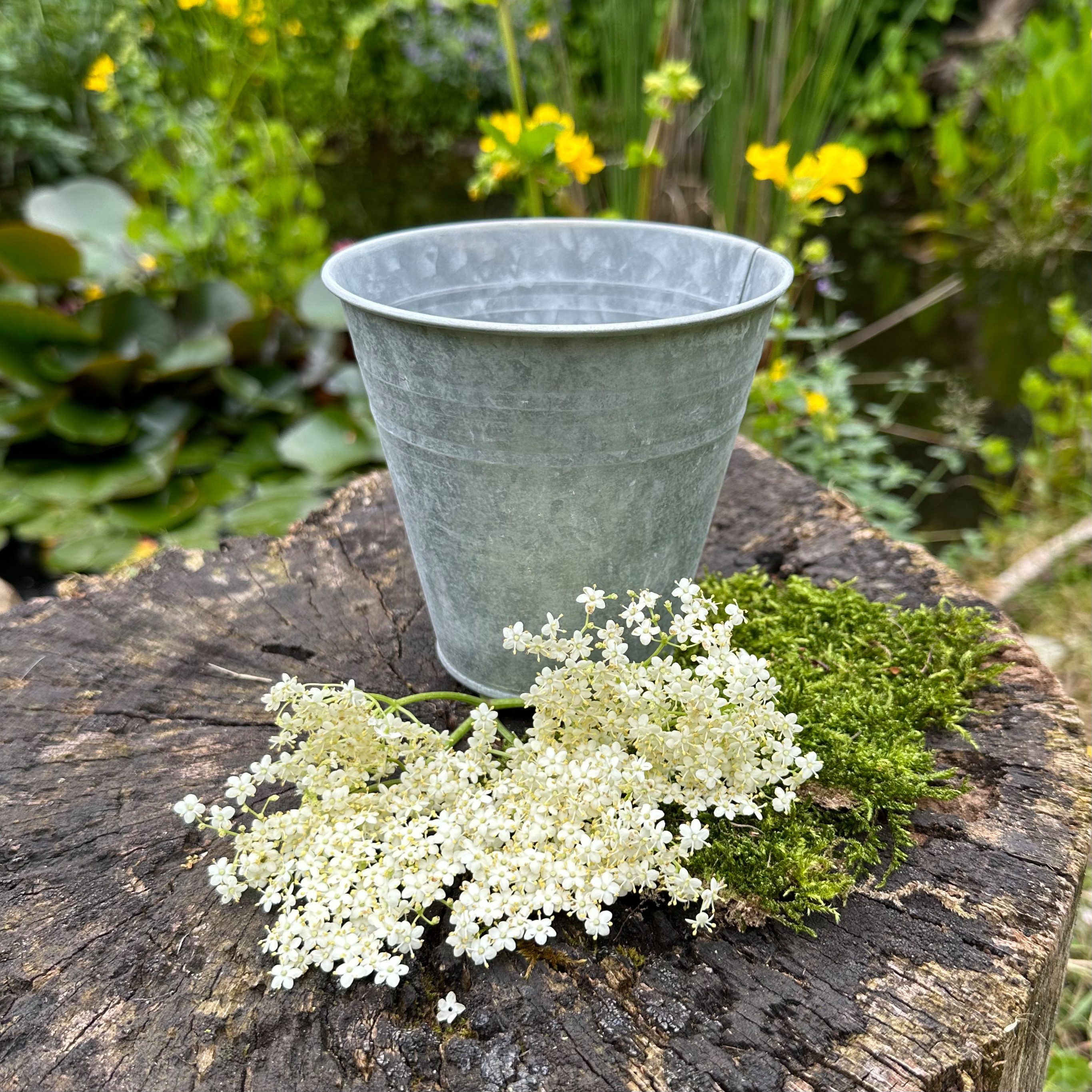 Gartenpflege-Set Eimer als Blumentopf, klein, Übertopf in Antik-Zink, Tischeimer