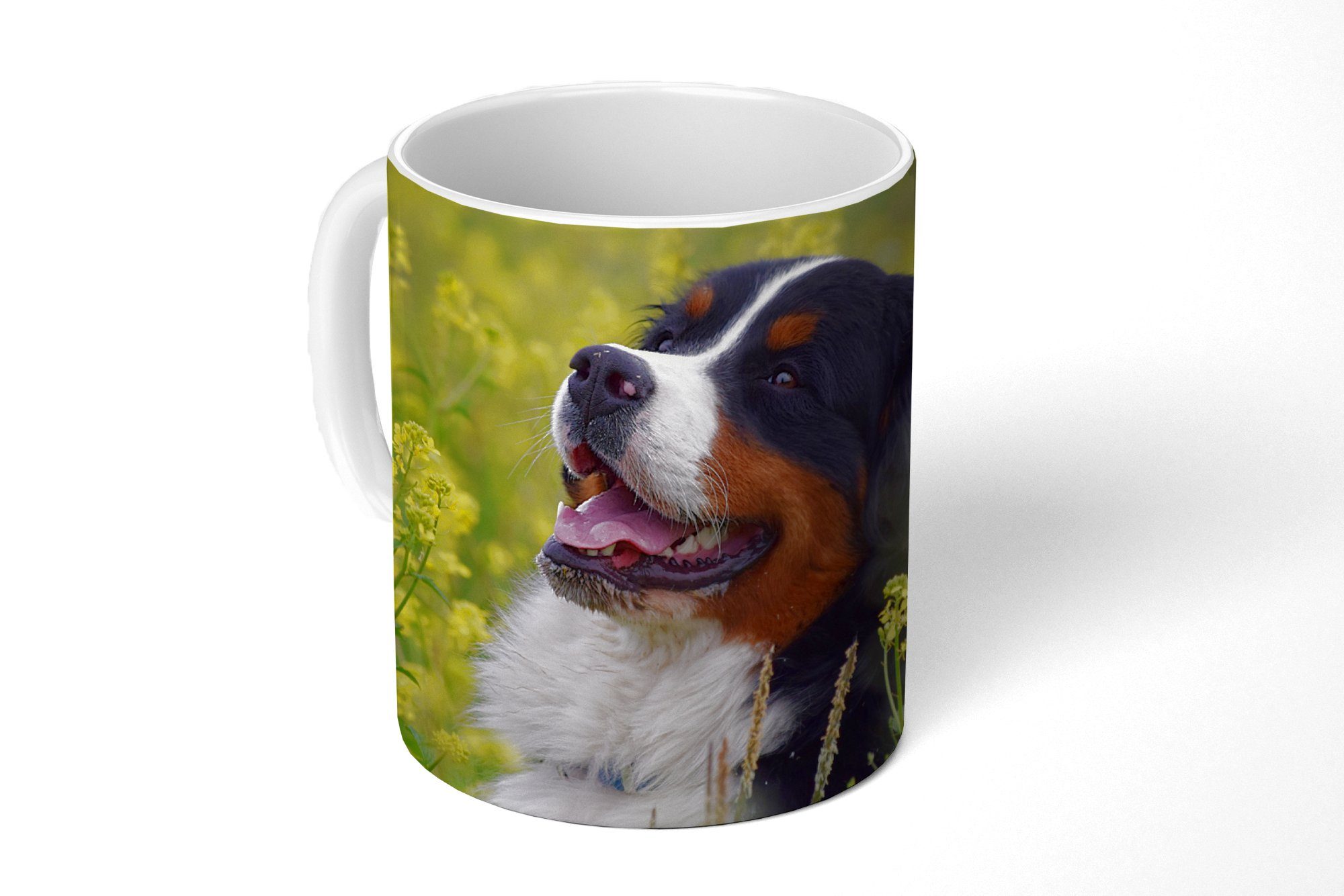 MuchoWow Tasse Ein Berner Teetasse, Becher, gelben Teetasse, Geschenk Sennenhund Blumen, zwischen Kaffeetassen, Keramik