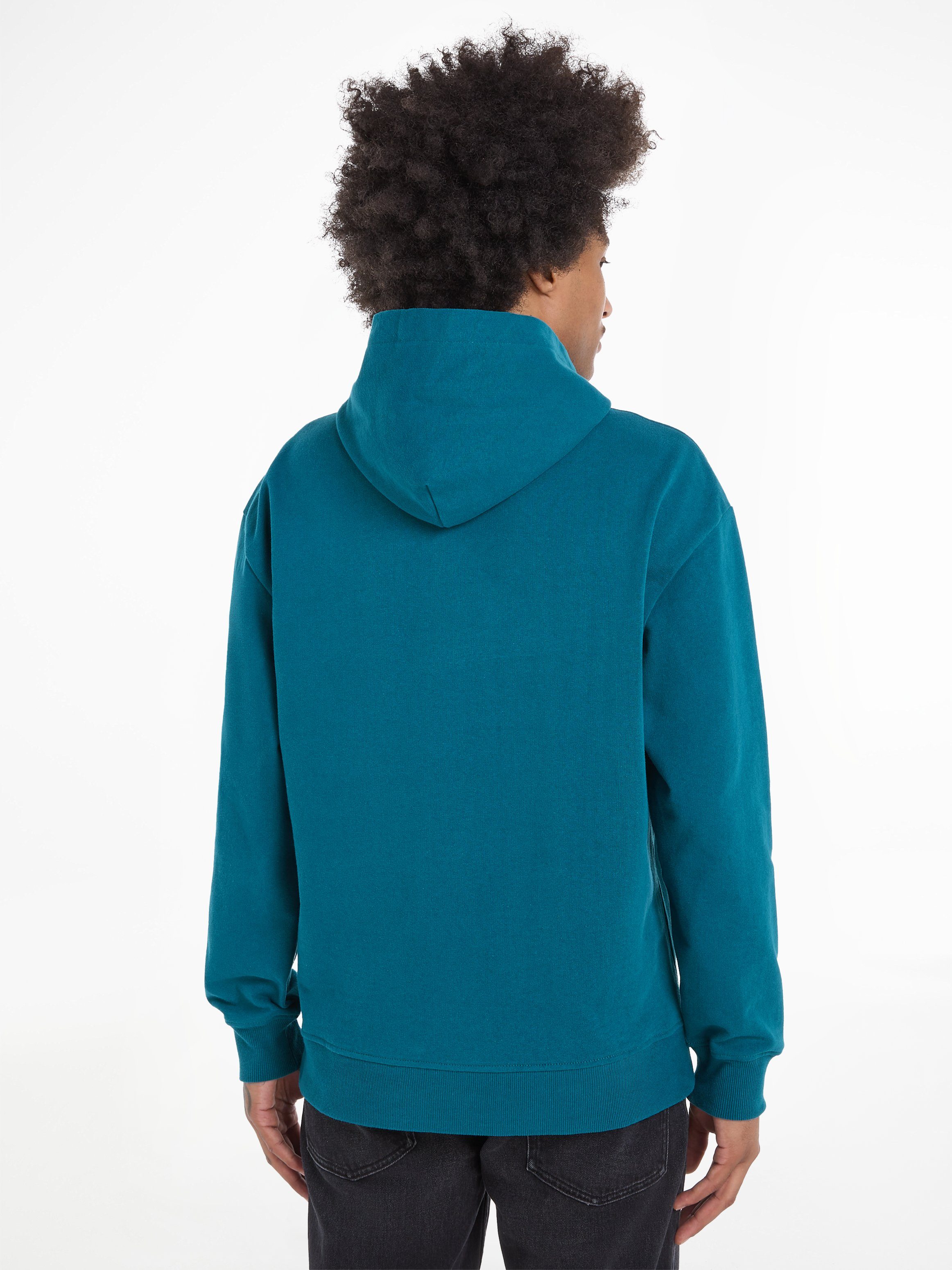Tommy Jeans Kapuzensweatshirt TJM RLX SIGNATURE günstig online kaufen
