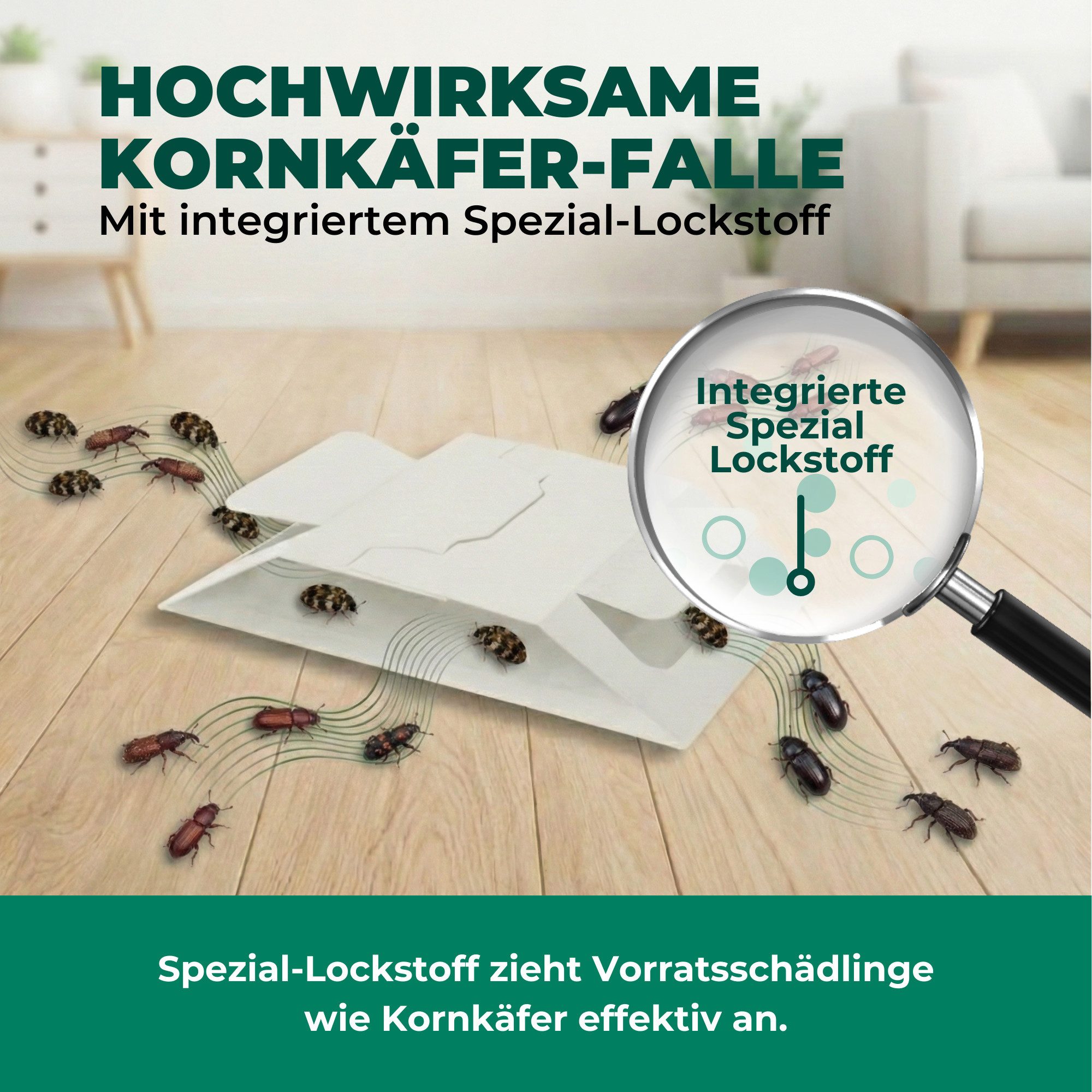 Silberkraft Insektenfalle Kornkäferfalle – Universal-Klebefalle mit Lockstoff, Extrastarke Klebefläche, einfache Anwendung – Bild 5 von 5