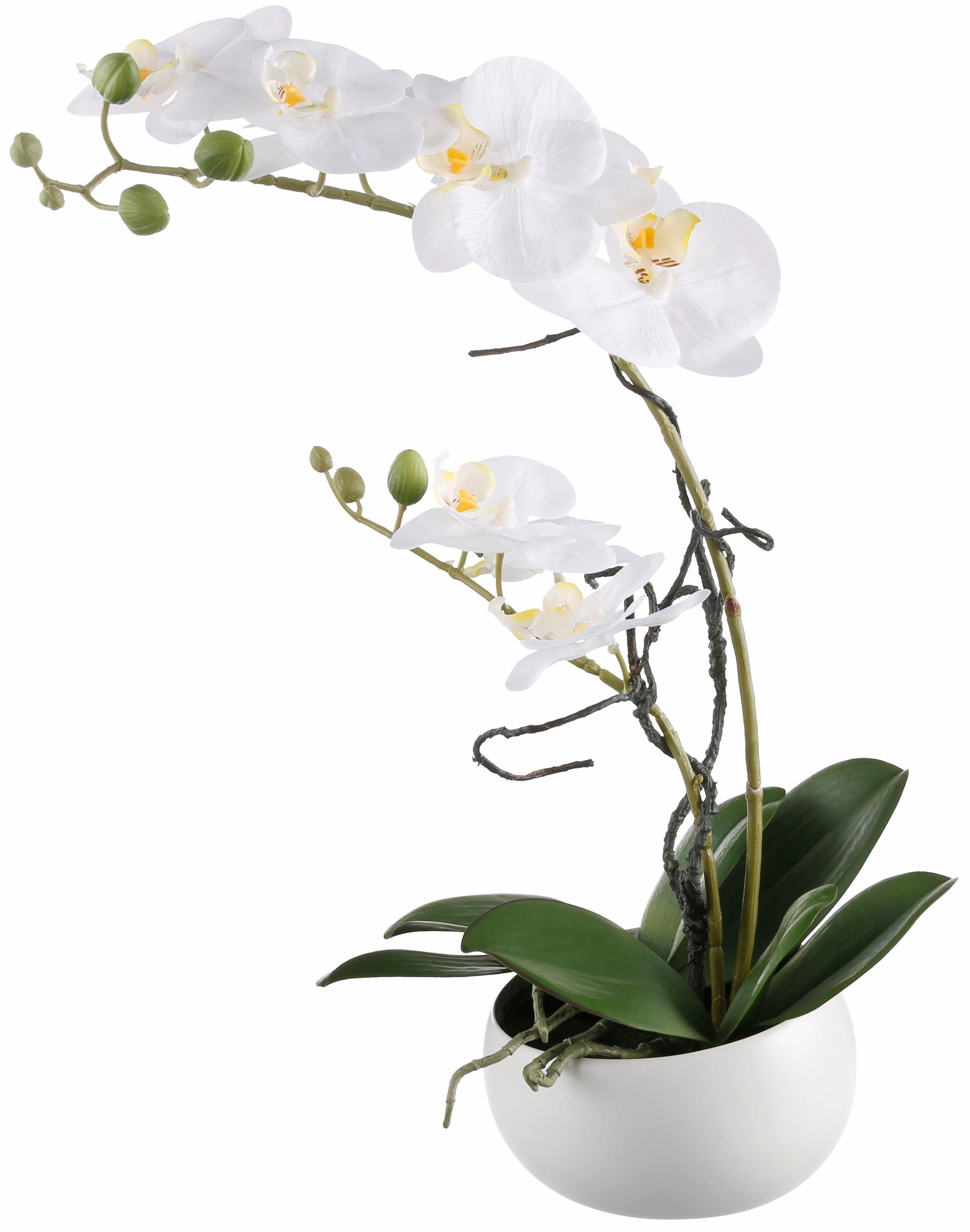 42 Creativ Höhe Orchidee green, Kunstpflanze Orchidee, cm