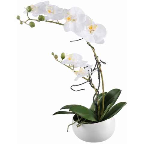Kunstpflanze Orchidee Orchidee, Creativ green, Höhe 42 cm