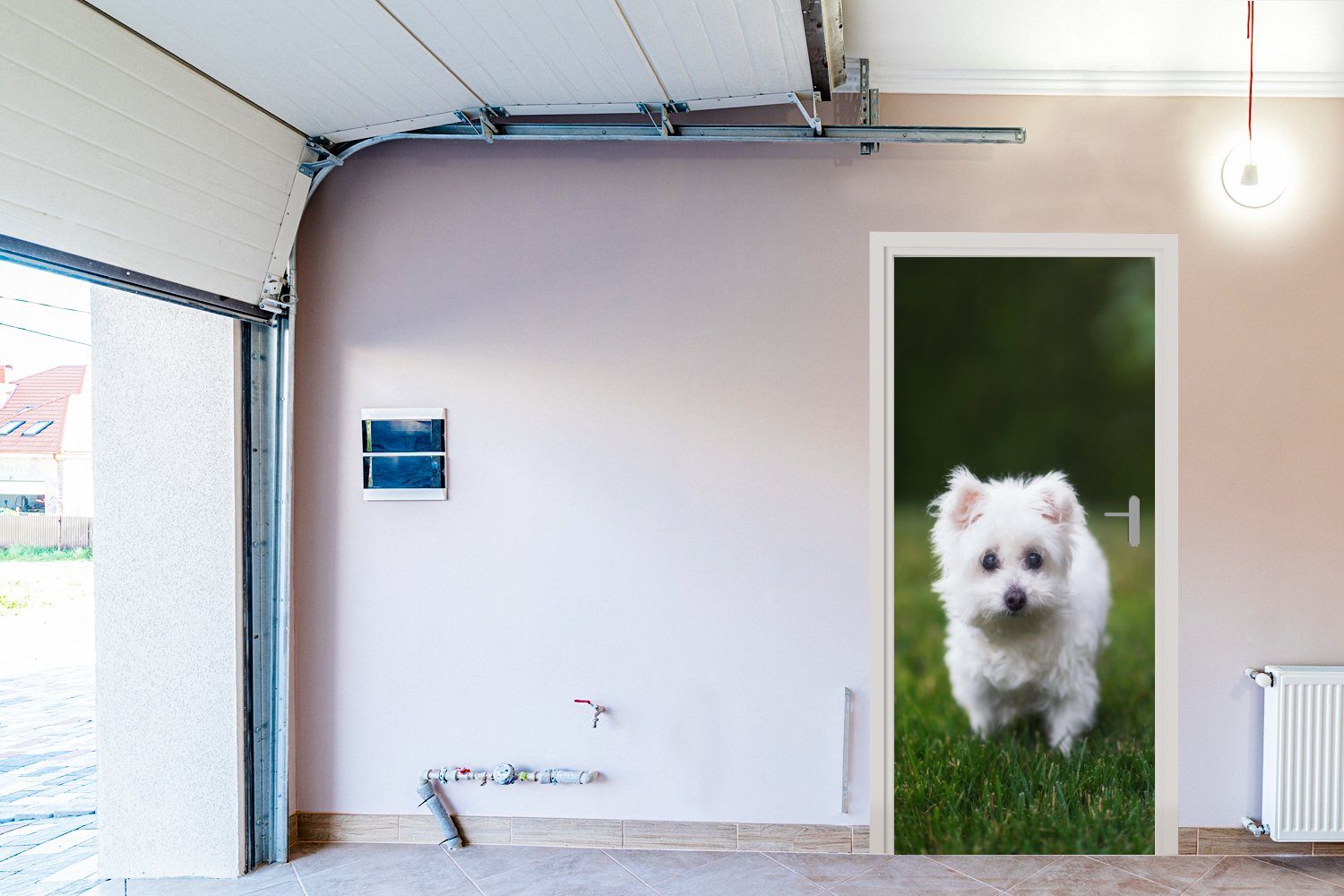 Malteser einer Hund auf cm Tür, Fototapete Türtapete 75x205 Wiese, (1 für MuchoWow Matt, bedruckt, St), Türaufkleber,