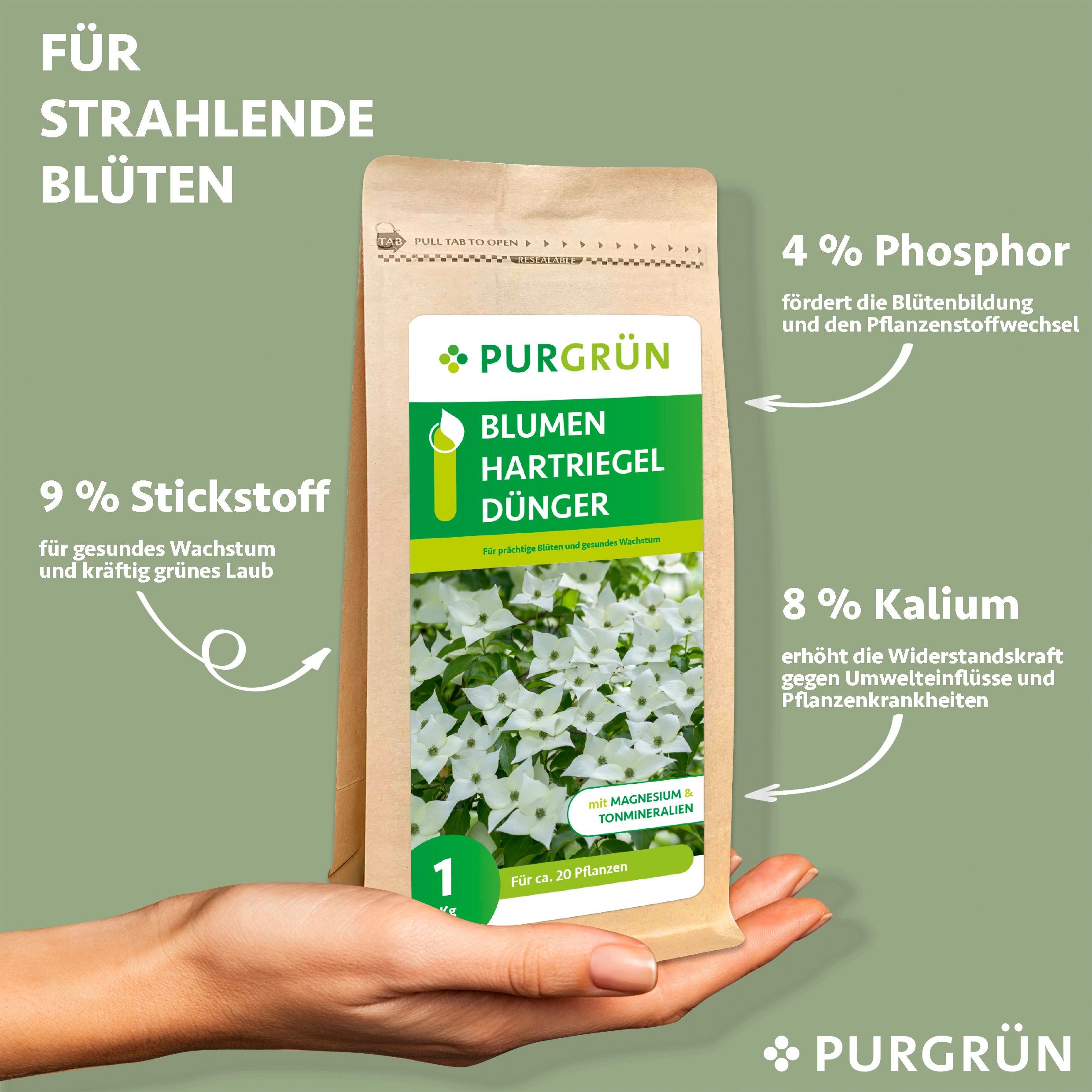 Purgrün Gartendünger Purgrün Blumenhartriegel Dünger, NPK günstig online kaufen