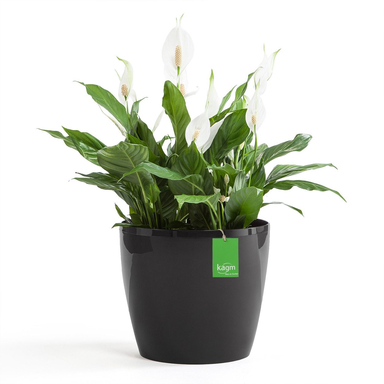 KAGM Blumentopf Übertopf Pflanztopf Hochglanz Pflanzkübel günstig online kaufen