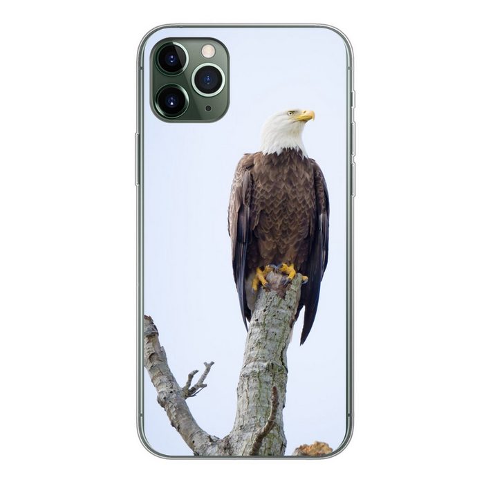 MuchoWow Handyhülle Amerikanischer Weißkopfseeadler - Adler - Raubvögel - Sitzen Handyhülle Apple iPhone 11 Pro Max Smartphone-Bumper Print Handy
