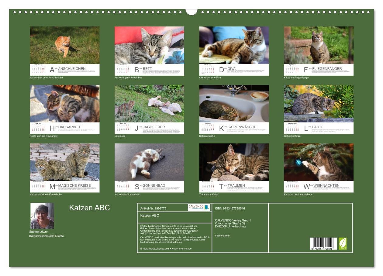 Thumbnail - CALVENDO Wandkalender Katzen ABC (Wandkalender 2026 DIN A2 quer), CALVENDO Monatskalender