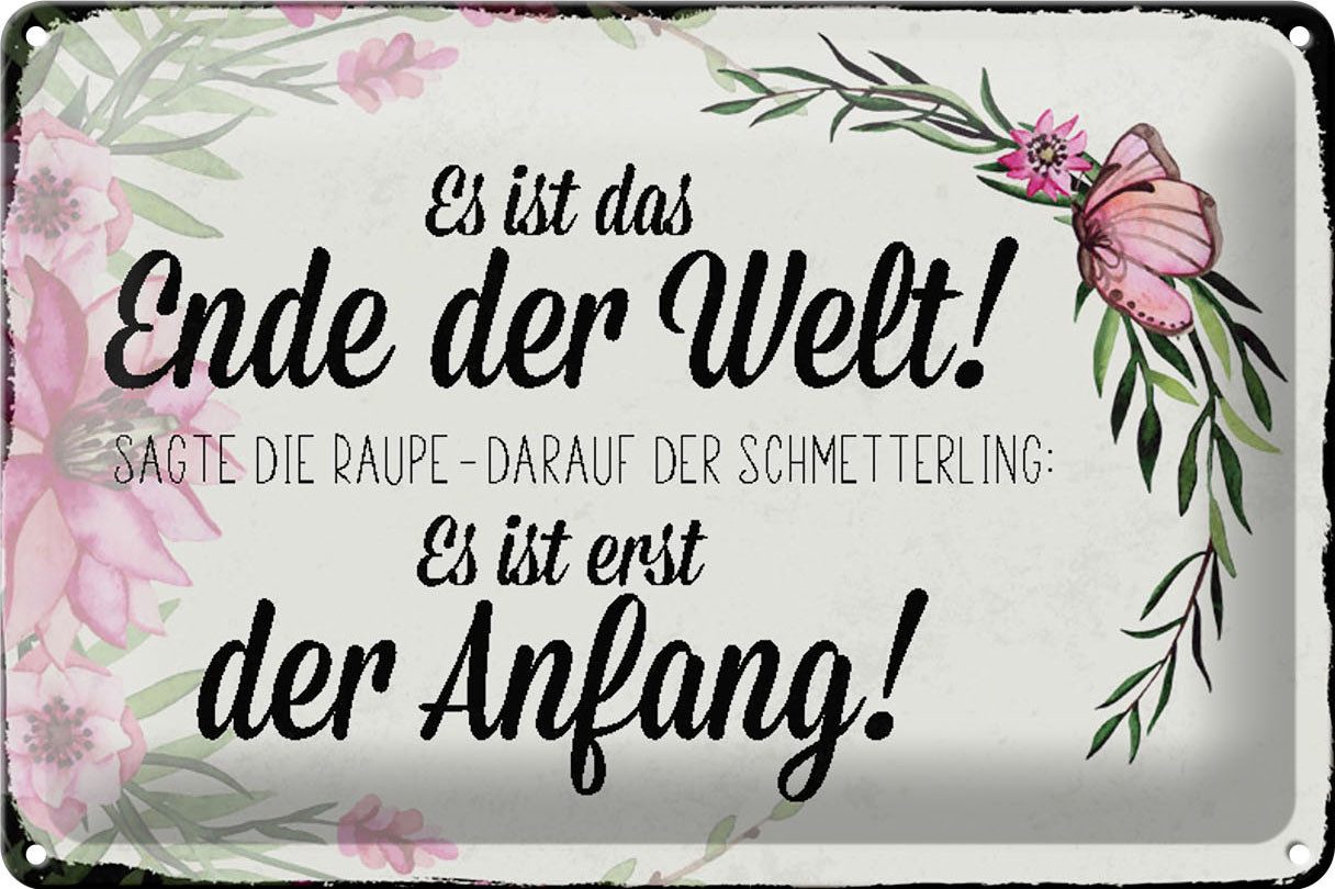 Metallschild Schild Blech 30x20cm - Made in Germany - Spruch Spruch es ist das Ende