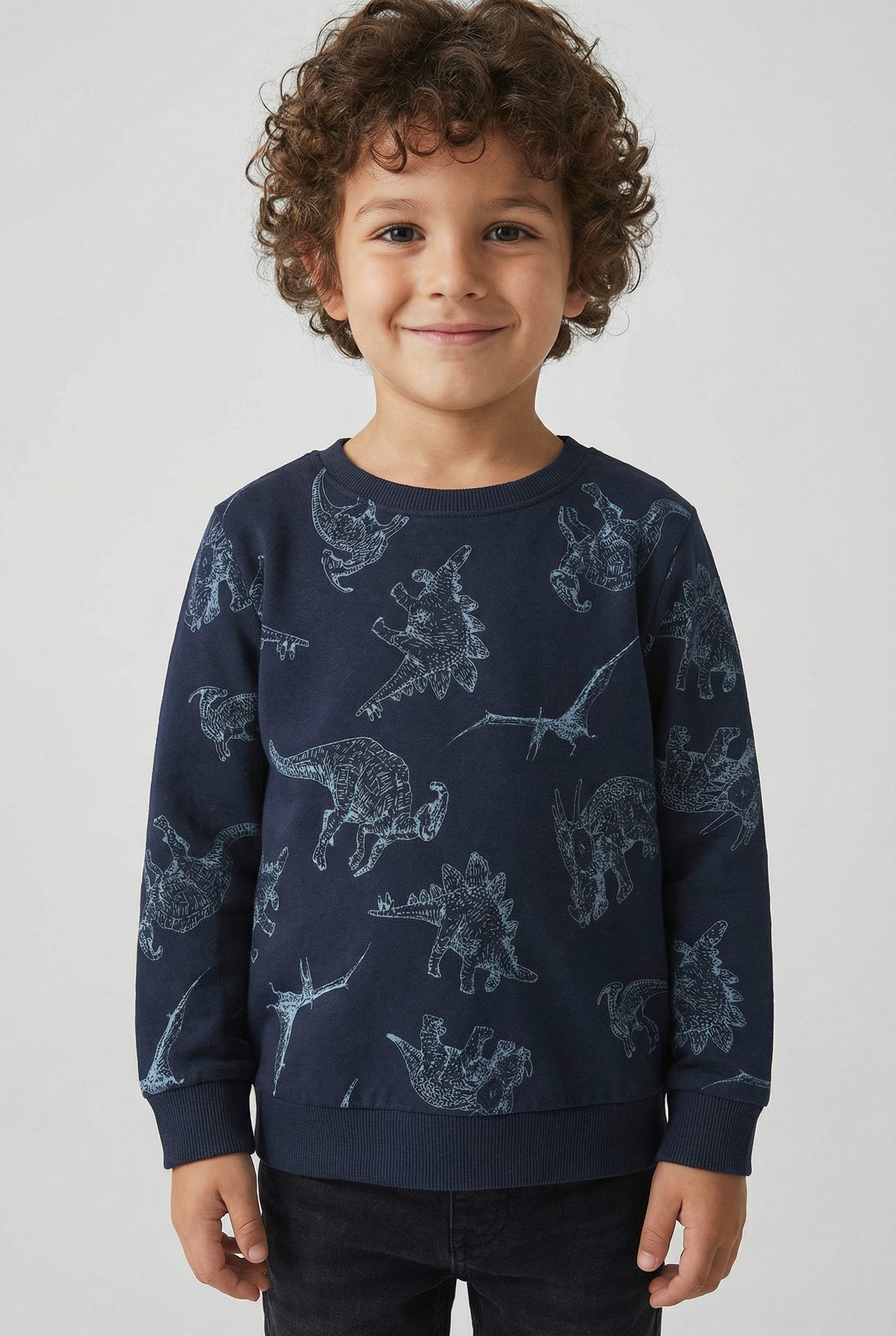 Name It Sweatshirt NMMVARON für Jungen mit Alloverprint und Rippbündchen bedruckt, casual, regular fit, Baumwolle, Rundhals