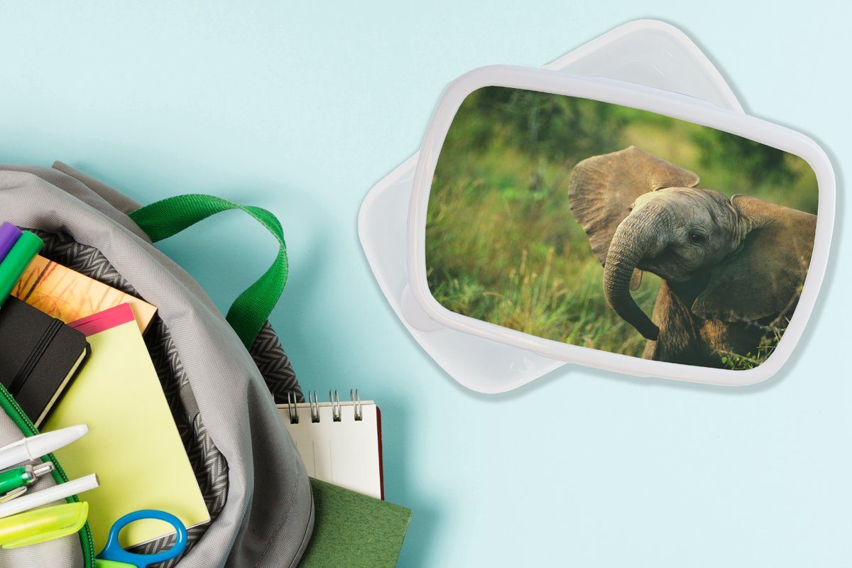 Mädchen Grün für Natur, Kinder und Tiere Brotdose, weiß für Kunststoff, (2-tlg), - und Jungs Lunchbox MuchoWow Brotbox - Elefant - Erwachsene,