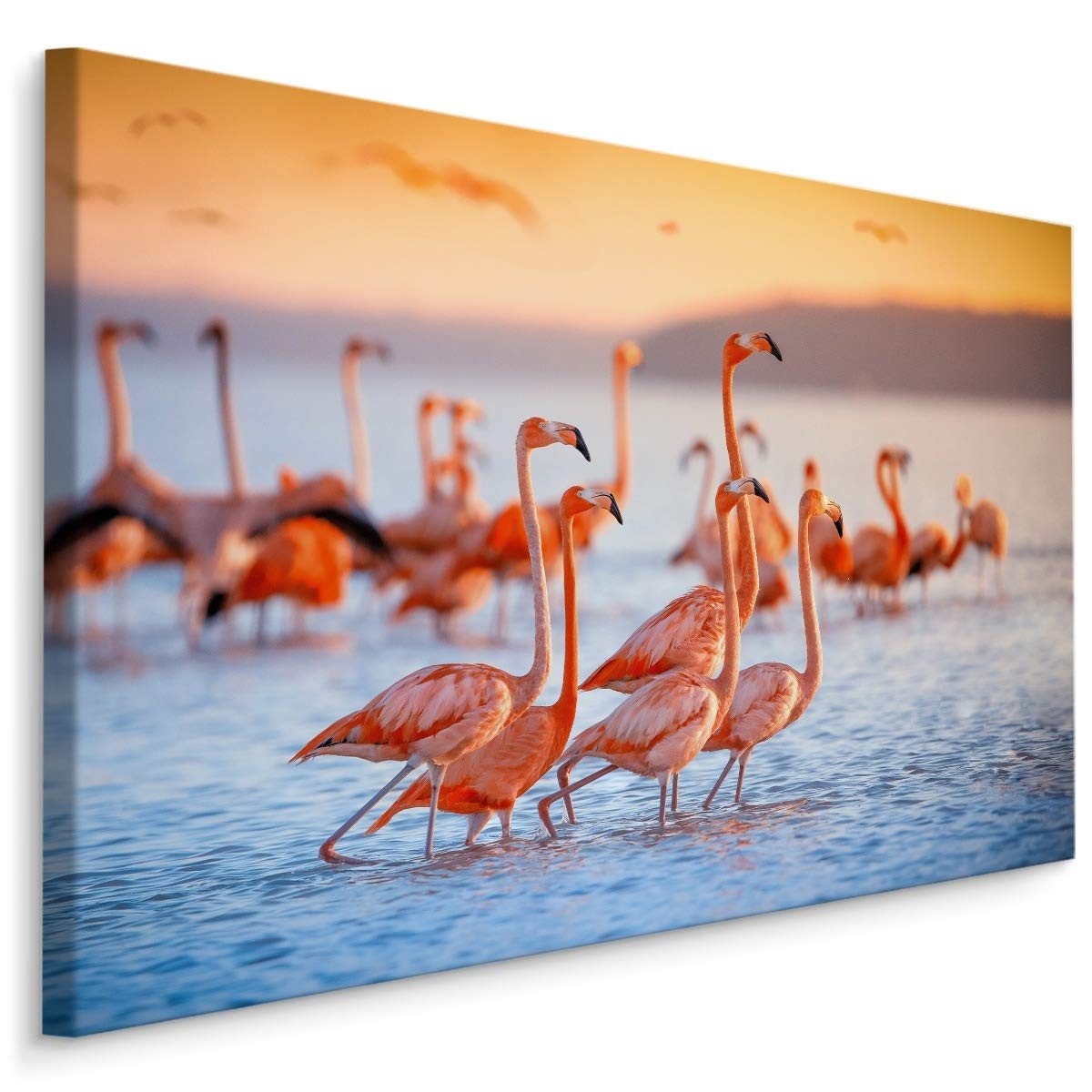 Muralo Leinwandbild Landschaft – Leinwandbild Wandbild Kunstdruck Wohnzimmer, Gewässer (1 St), Tiere – Vögel – Flamingos, 100 x 70 cm, aufhängefertig