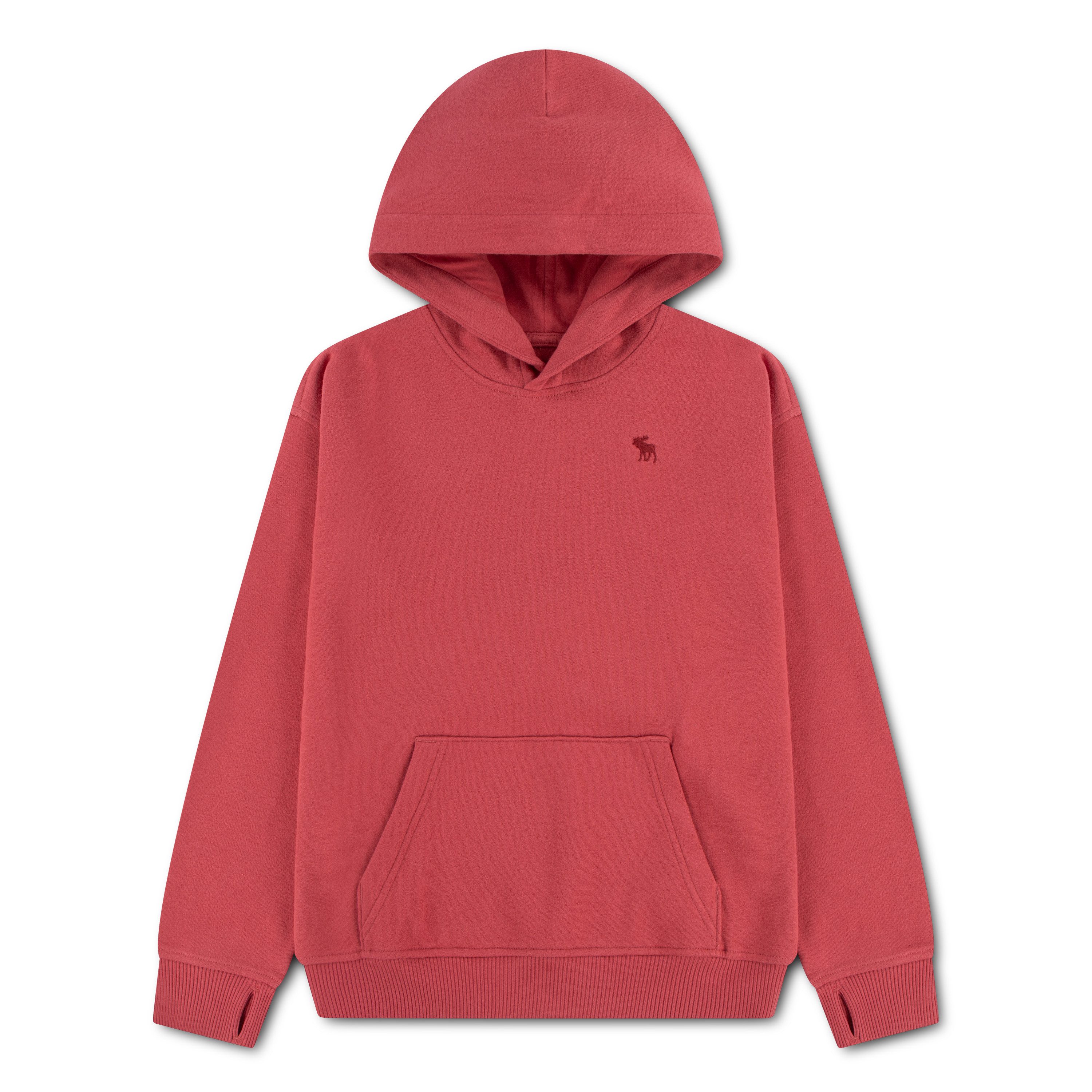 Abercrombie Kids Kapuzensweatshirt AFB ESSENTIALS FLEECE HO mit Logo-Stickerei, for boys