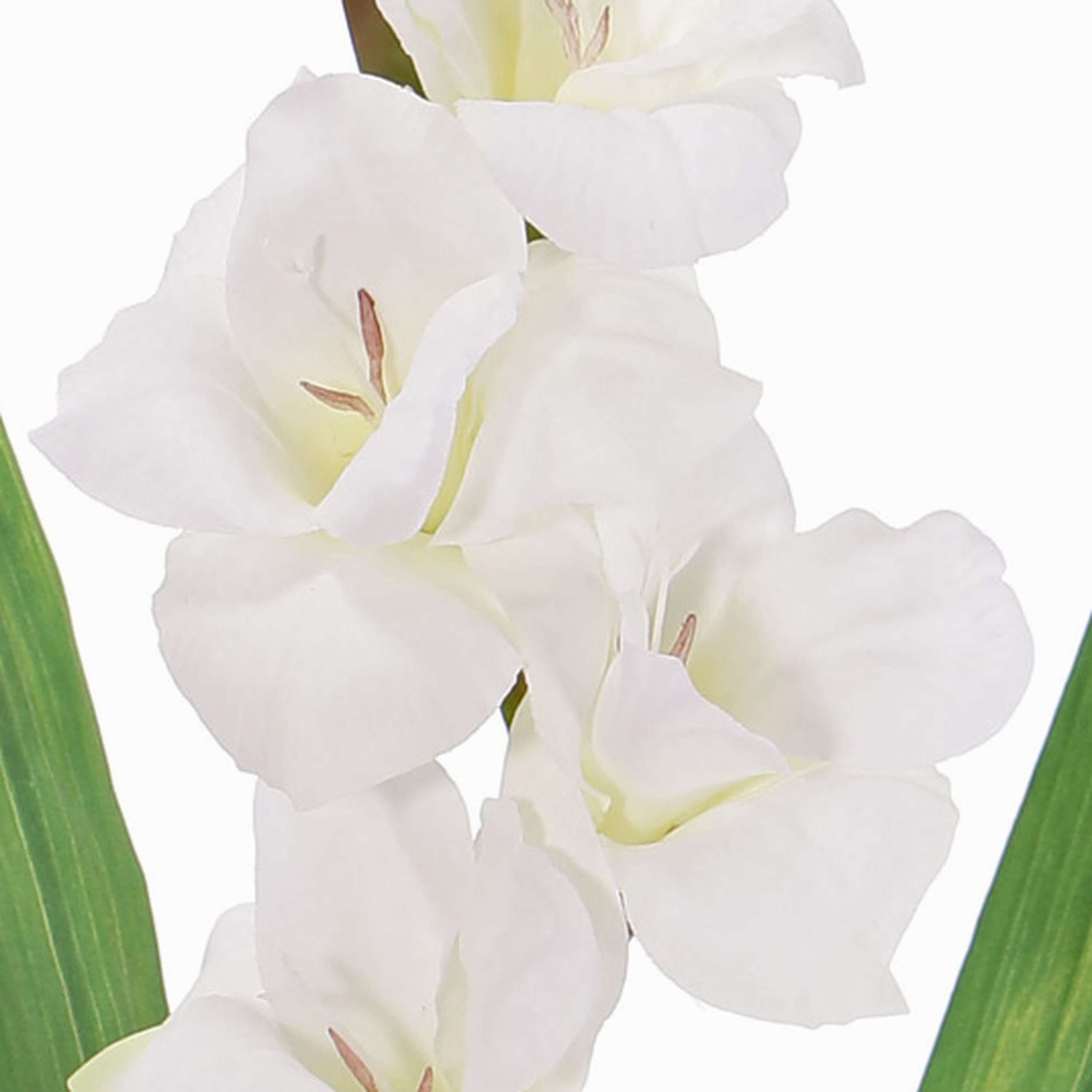 Kunstblume Künstliche Blume Gladiole ELEA, weiß, 85cm, Ø Gladiole, artplants, Höhe 80.0 cm – Bild 5 von 5
