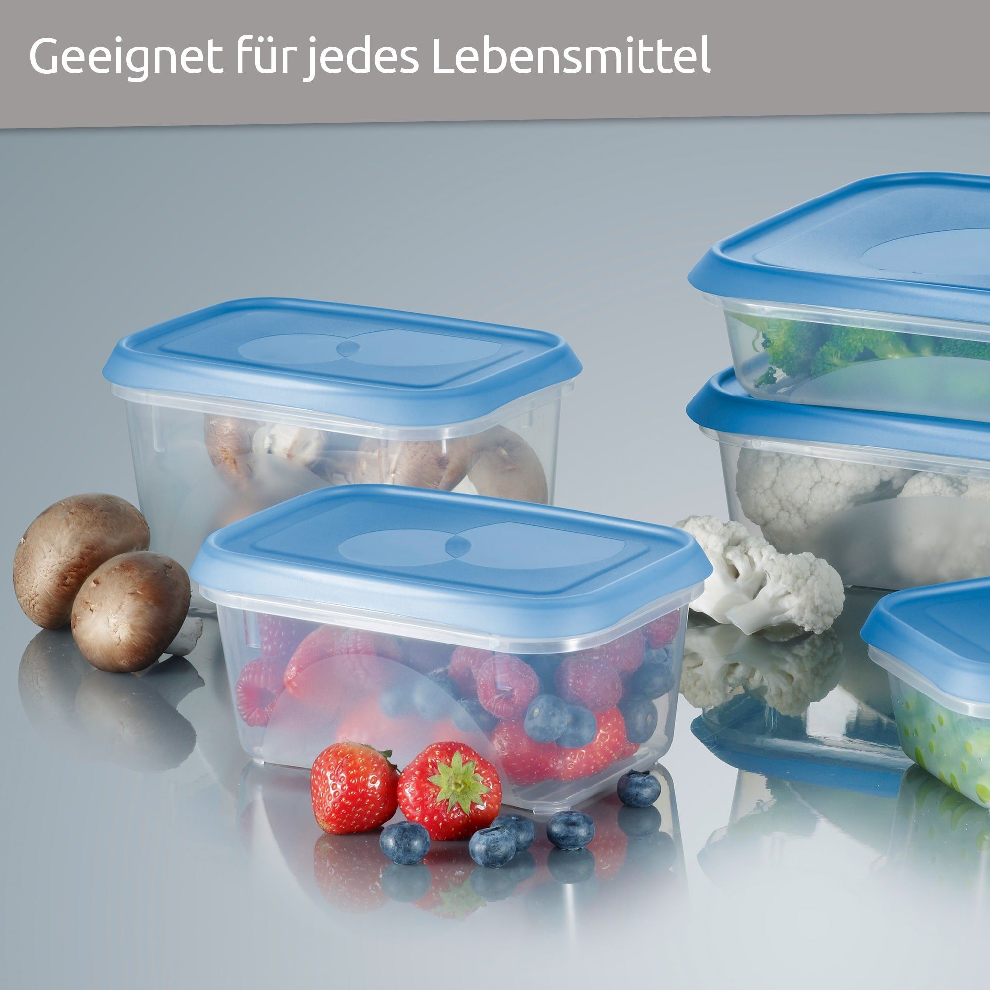 Set 2er Deckel, ml, vielfältig mit Wüllner Kaiser + verwendbar 1500 Frischhaltedose Kunststoff, Gefrierdosendosen Gefrierdosen