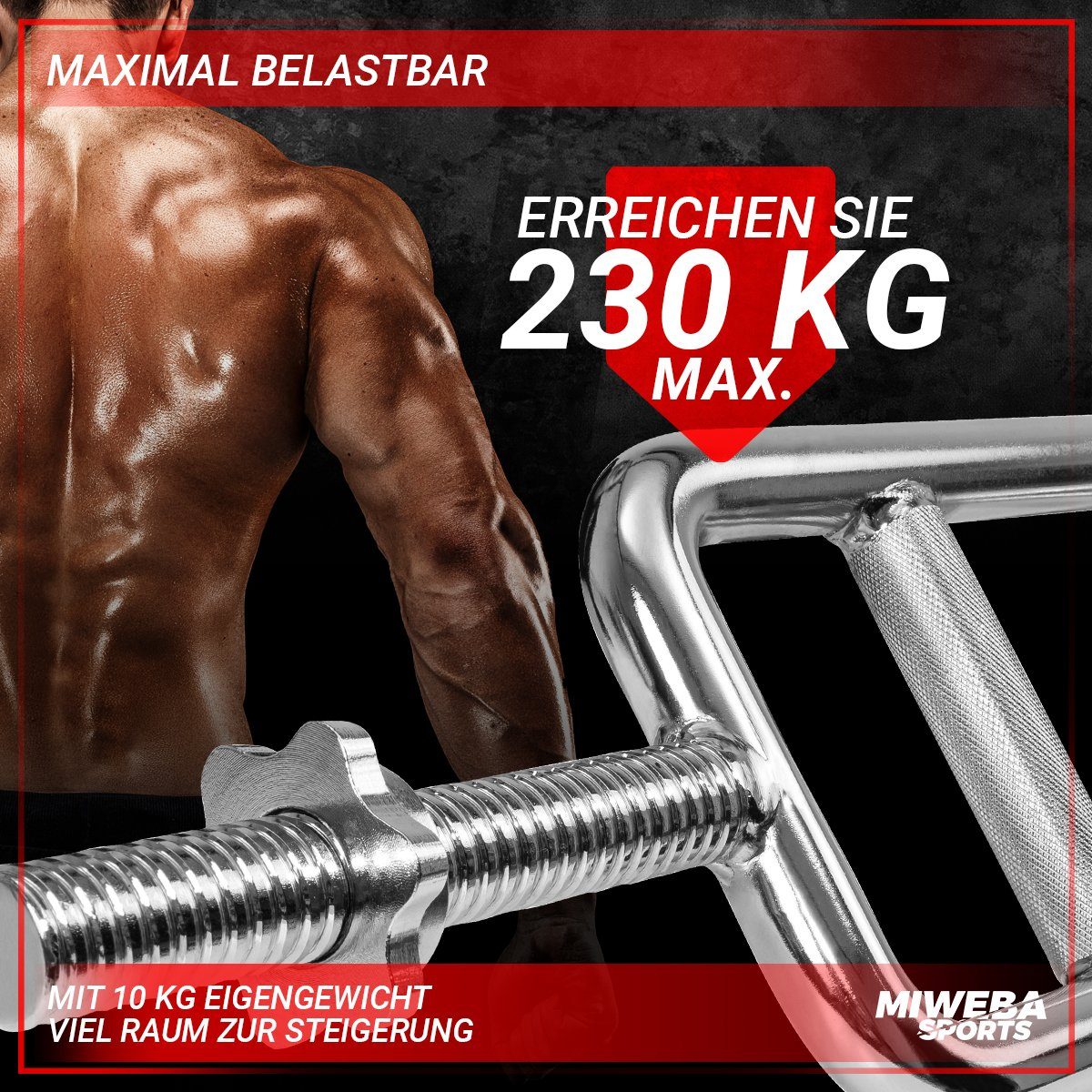 Trizepsstange Von Tonchean - 86,4 Cm Hammer Curl Bar Für Krafttraining
