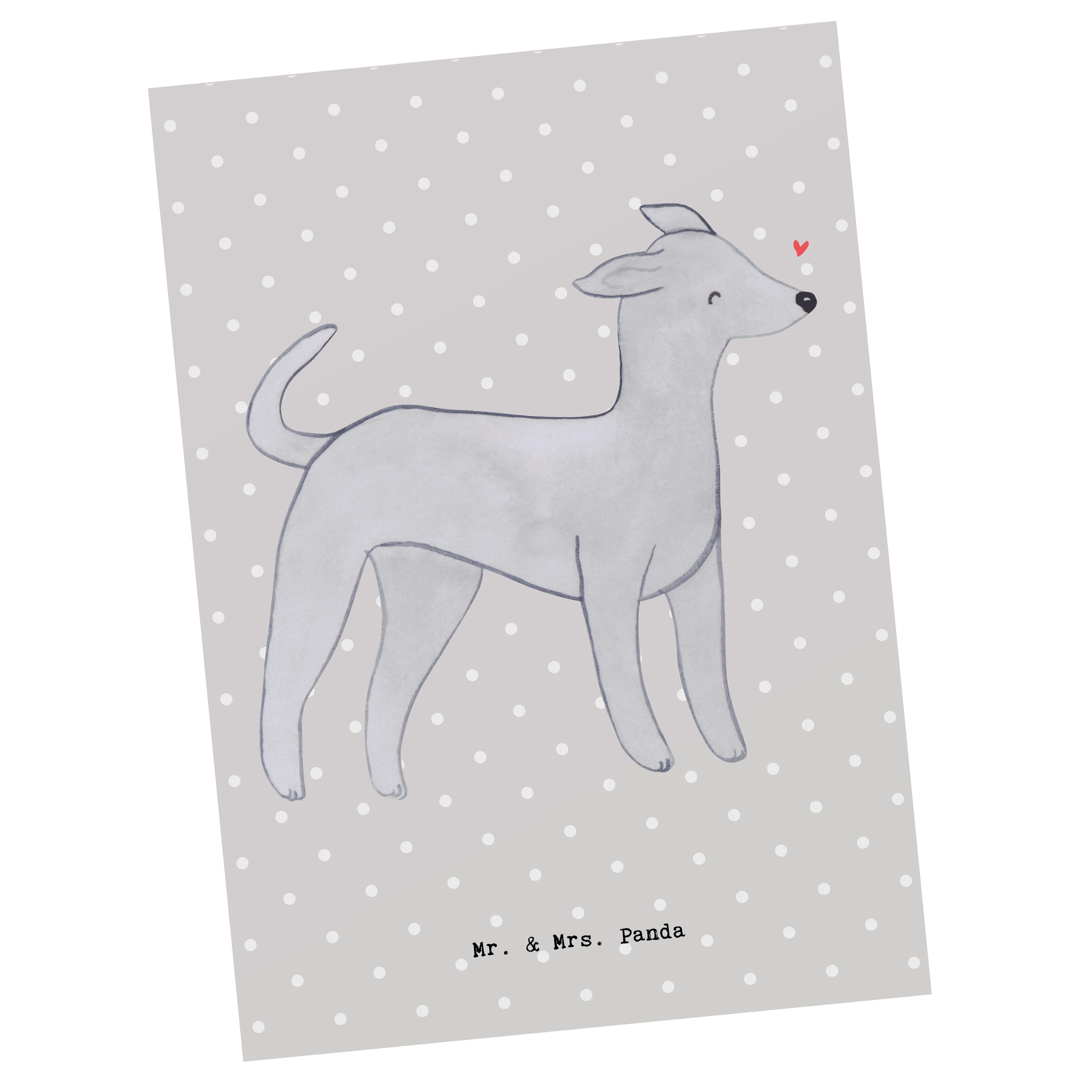 Mr. & Mrs. Panda Postkarte Italienisches Windspiel Moment - Grau Pastell - Geschenk, Geschenkkar