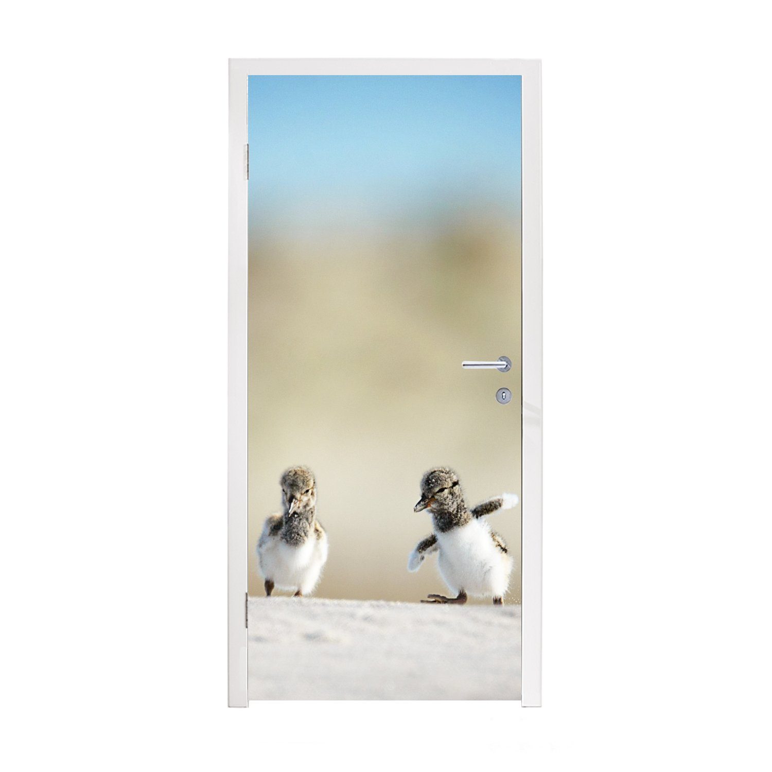 MuchoWow Türtapete Junge - Sand 75x205 Tür, cm - Fototapete für Vögel, (1 Matt, bedruckt, St), Türaufkleber